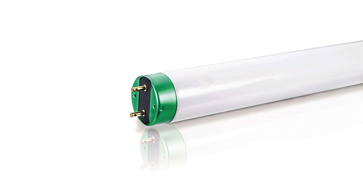 Philips 454512 Fluorescent 32W T8 48-Inch Daylight 10Pk PHILIPS