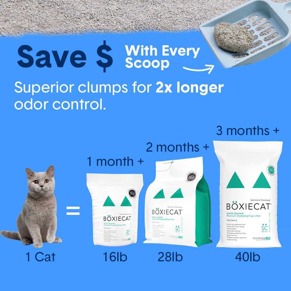 Boxie Premium Scented Clumping Cat Litter 30 Day Odour Control 16 lb