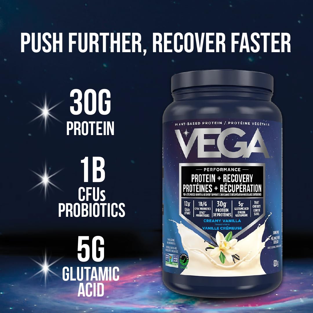Vega Sport Plant-Based Protein Powder + Recovery - Chocolate, 30g Protein per Serving, 19 Servings, 5g BCAAs, Probiotics, 837g