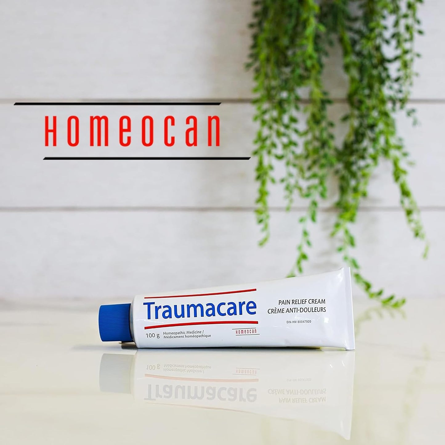 Homeocan Homeopathic Arnica Cream, Bruise Cream, Non Greasy, 100g Traumacare