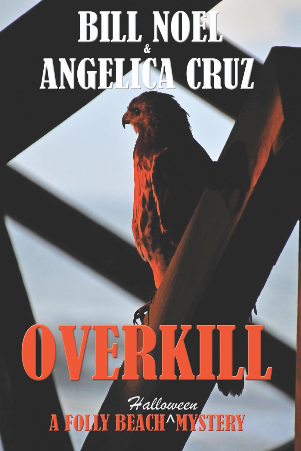 Overkill: A Folly Beach Halloween Mystery