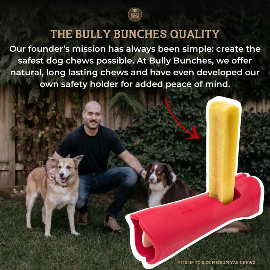 Bully Bunches Large Authentic Yak Cheese Himalayan Chews for Large Dogs & Heavy Chewers - All Natural Dog Treat Dental Chews, Made with Real Yak Milk - Lactose & Rawhide Free (2 Pk)