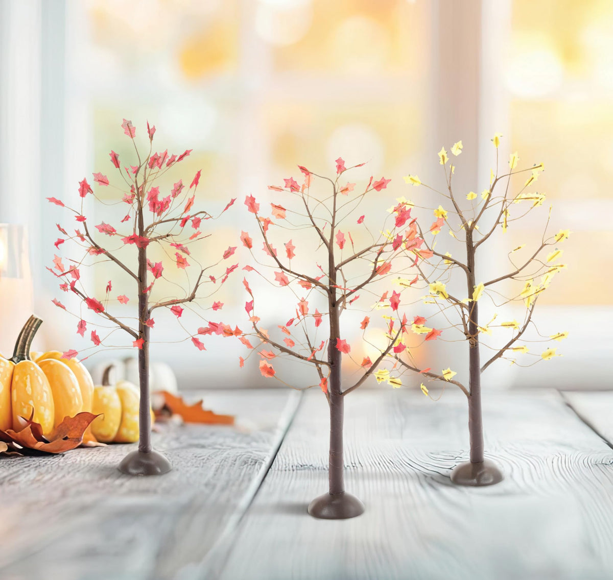 Department 56 Village Collection Accessories Halloween Harvest September Oak Tree Figurine Set, 11 Inch, Multicolor