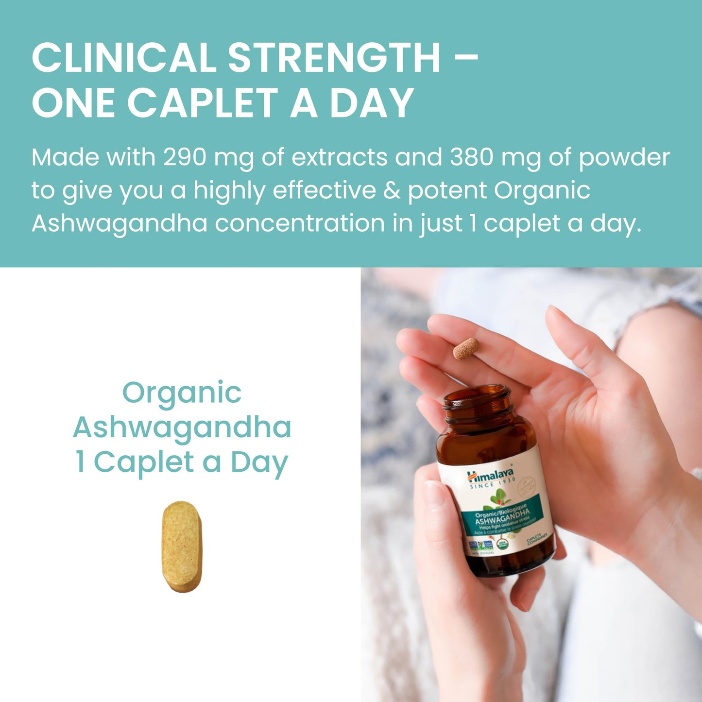 Himalaya Organic Ashwagandha, USDA Certified Organic, Non-GMO, Gluten Free Supplement, 100% Ashwagandha Powder & Extract. (90 Count) - Available at All In One Marketplace Canada