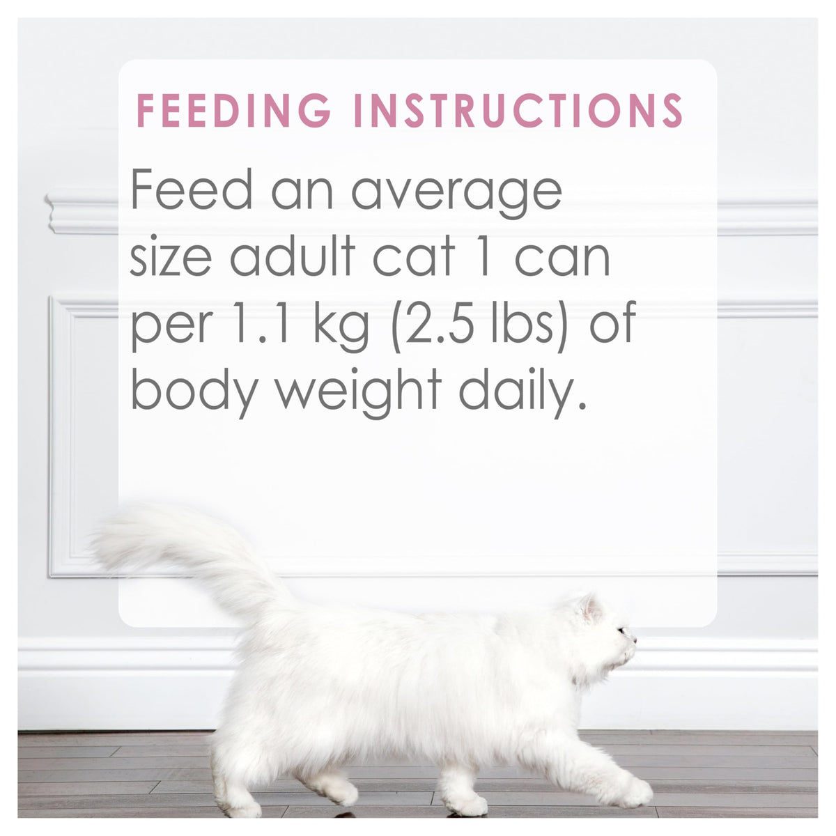 Fancy Feast Medleys Wet Cat Food, Wild Salmon Primavera - 85 g Can (24 Pack)