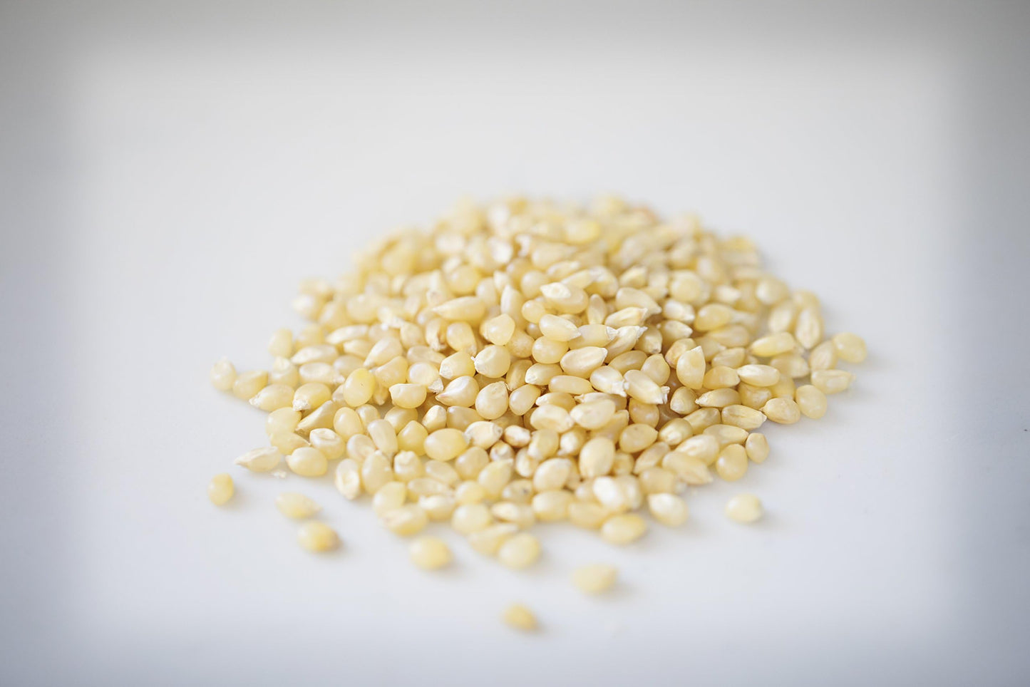 Amish Country Popcorn Baby White Kernels | 6 lb Bulk Bag | Small, Tender & Non-GMO