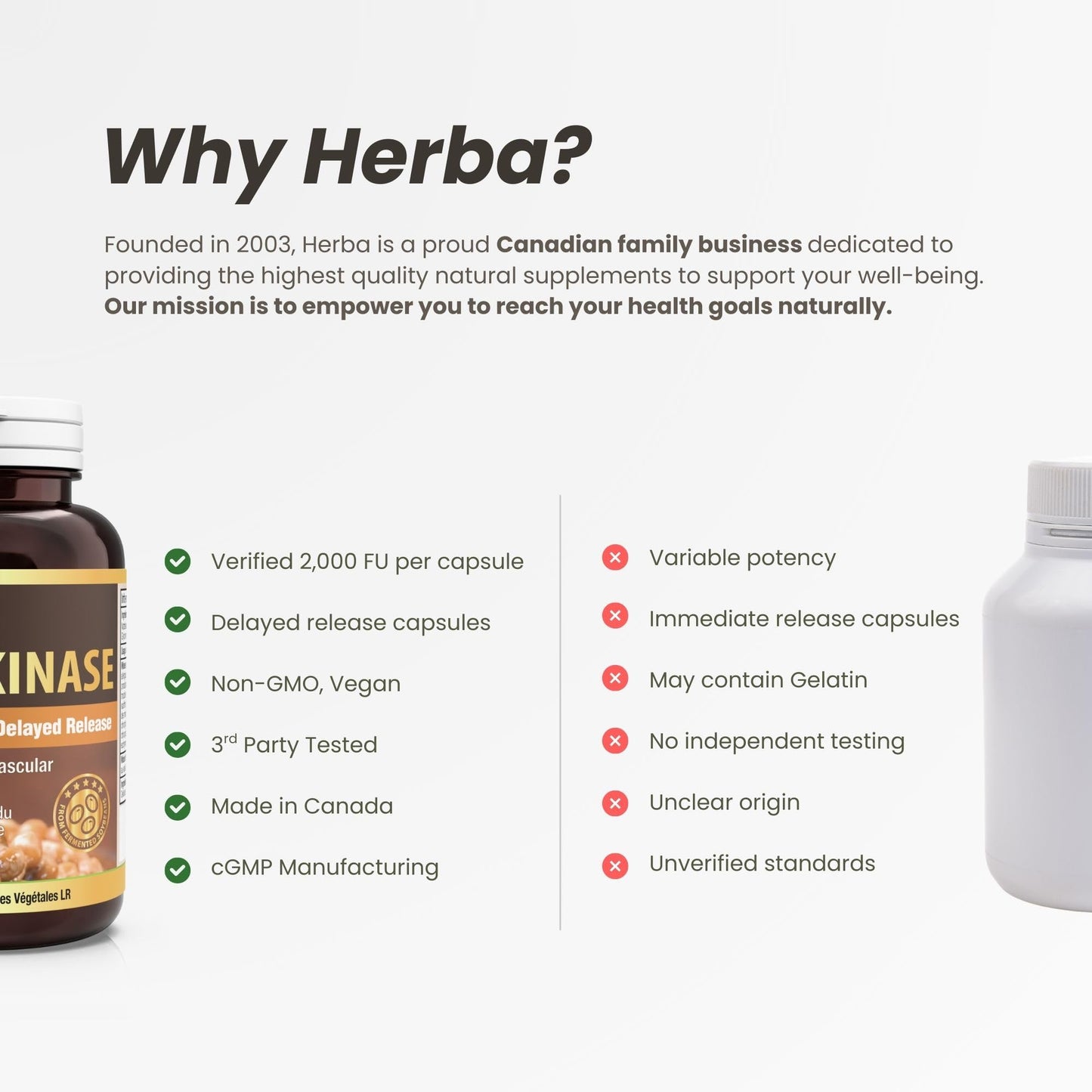 Herba Nattokinase Supplement 2000 FU – 100mg, 120 Delayed Release Capsules | Helps to Support Heart Health | Made in Canada - Available at All In One Marketplace Canada