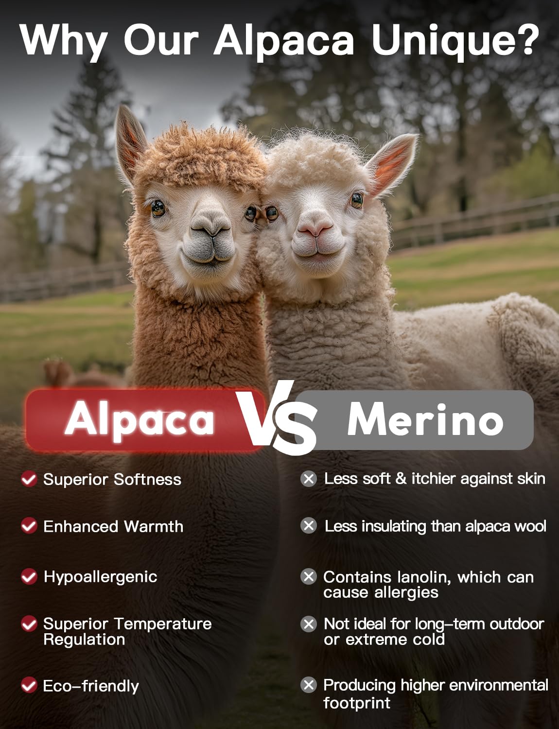 Alpaca Boot Socks 2 pairs for Men and Women,Thick Thermal Winter Hunting Socks Hiking,Moisture Wicking (CA/US, Alpha, Large, Regular, Regular, Dark Gray) 🍁 All In One Marketplace Canada