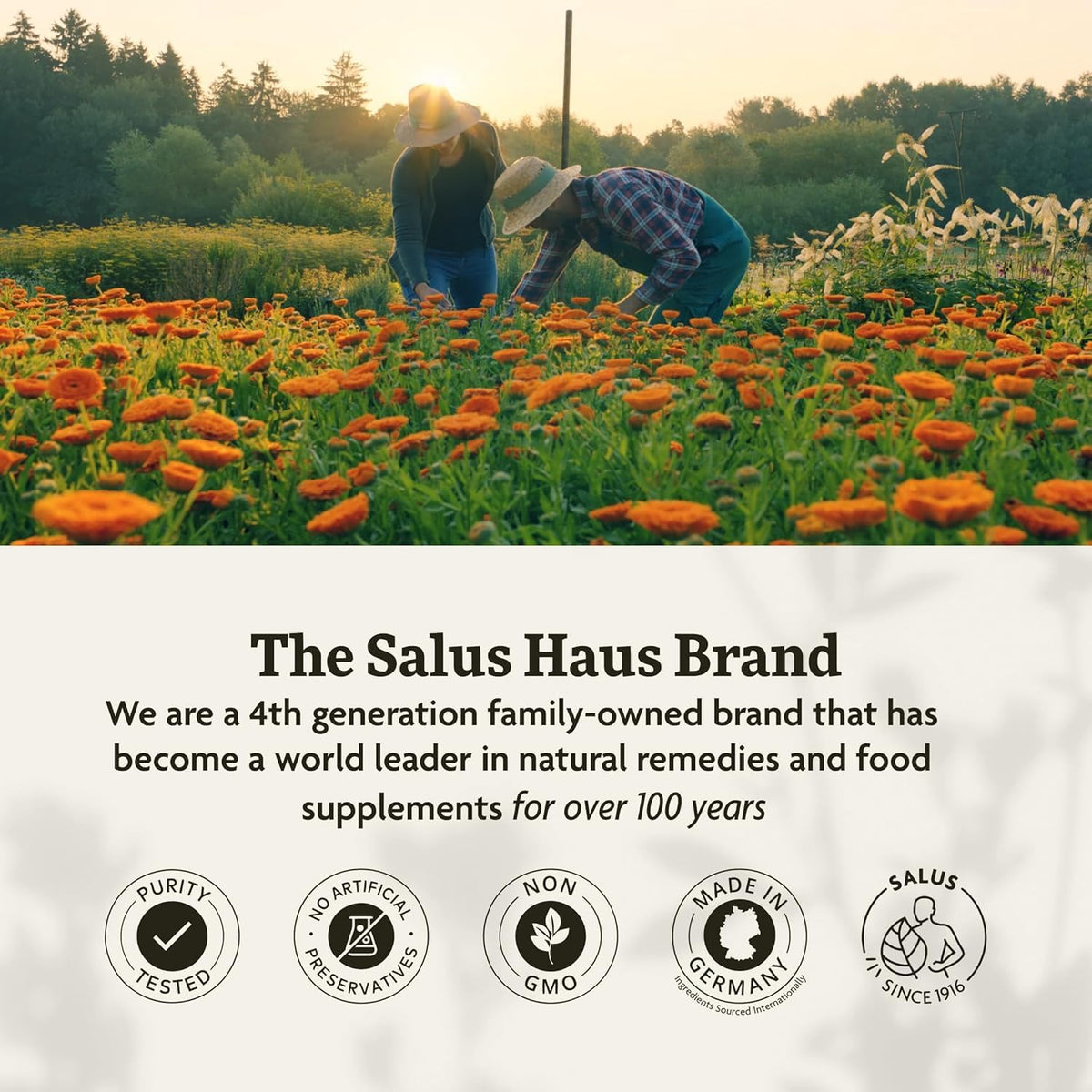 Salus Red Beet Crystals | Red Beet Extract Supports Healthy Blood Pressure and Circulation | Boosts and Improves Athletic Performance | Organic Source of Antioxidants