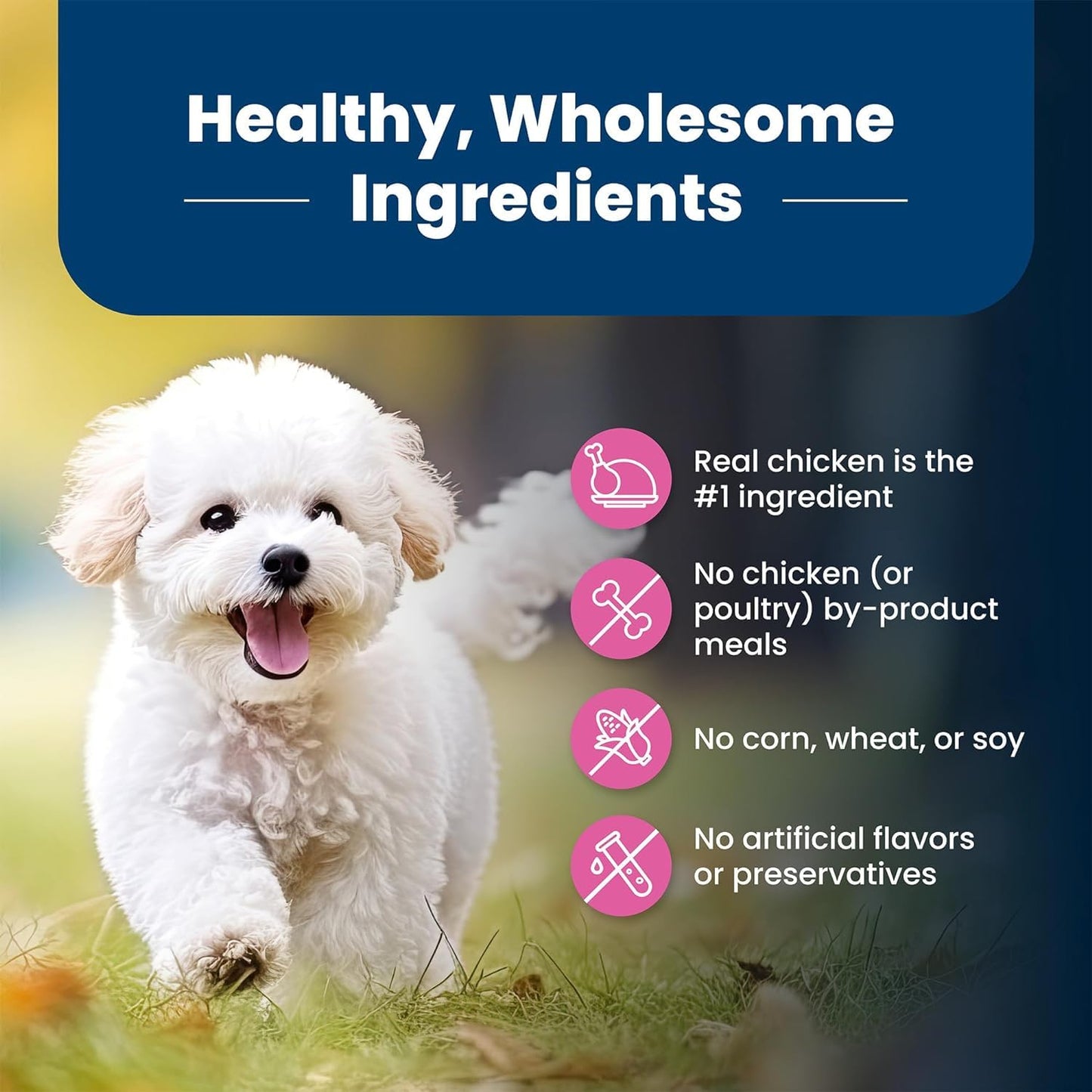 Blue Buffalo Life Protection Formula Small Breed Dog Food Natural Dry Dog Food for Adult Dog Chicken and Brown Rice 6 lb. Bag Small Bag