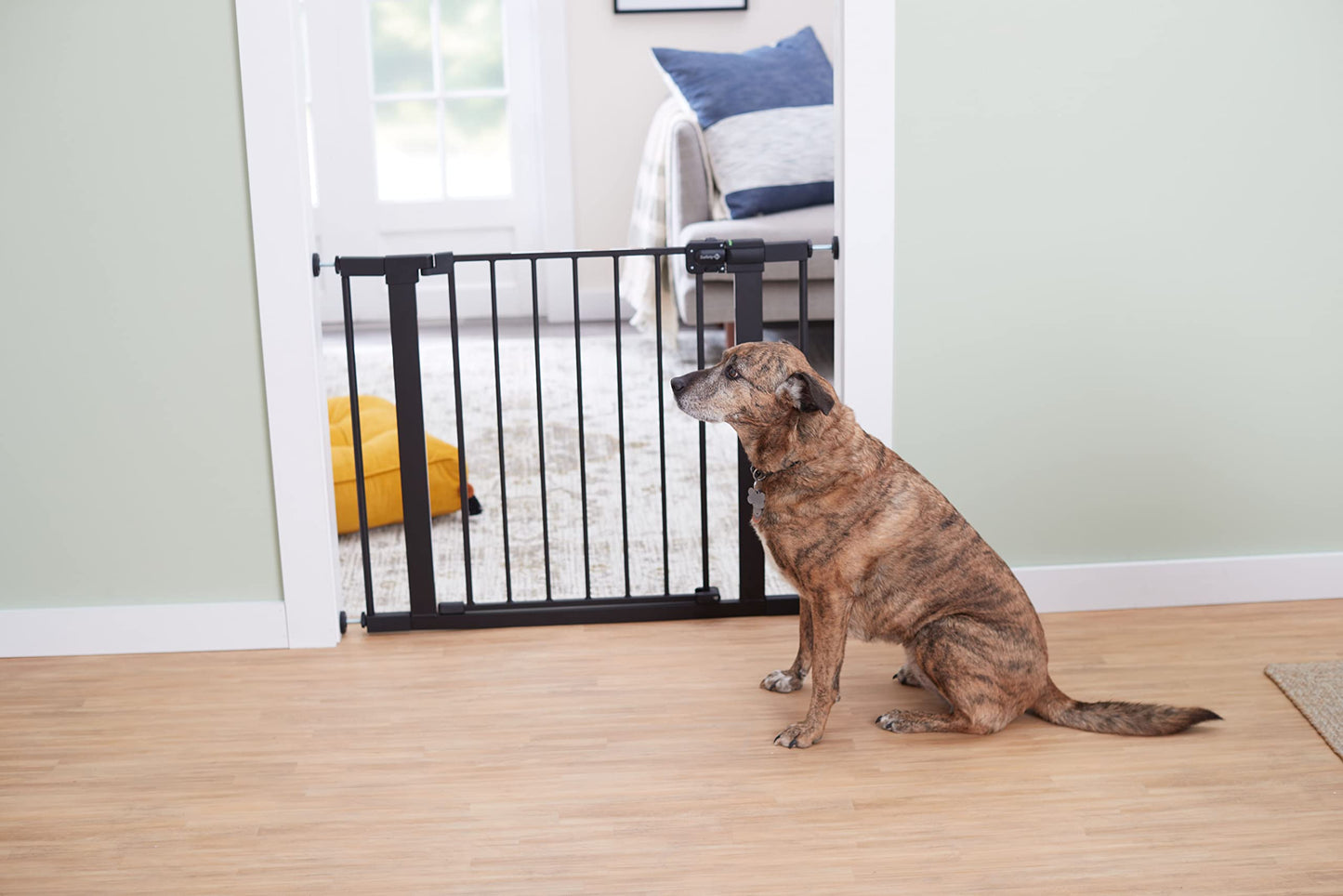 Safety 1st Easy Install Walk-Through Gate, Black đ All In One Marketplace Canada