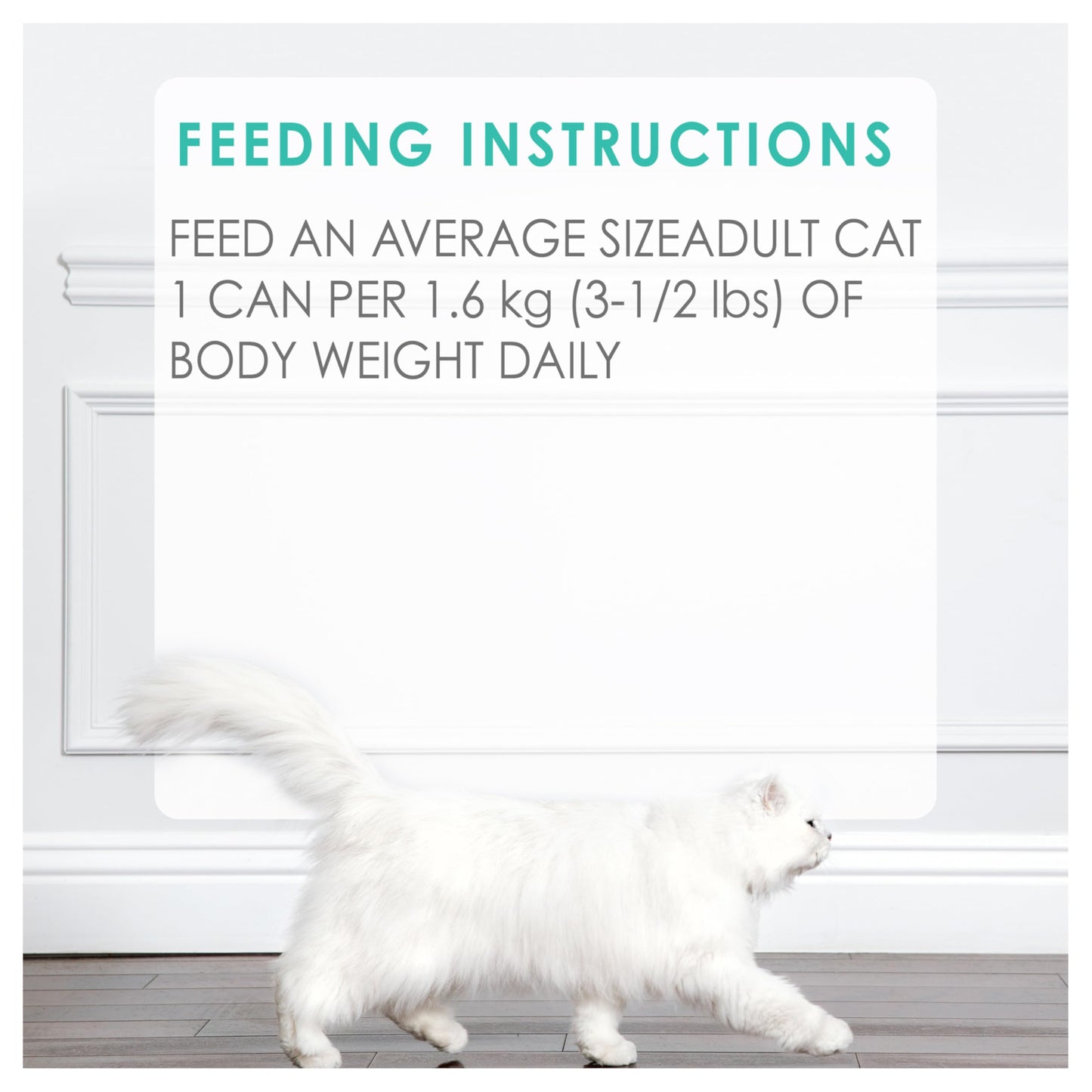 Fancy Feast Wet Cat Food, Pate Beef Flavour - 85 g Can (24 Pack) Fancy Feast