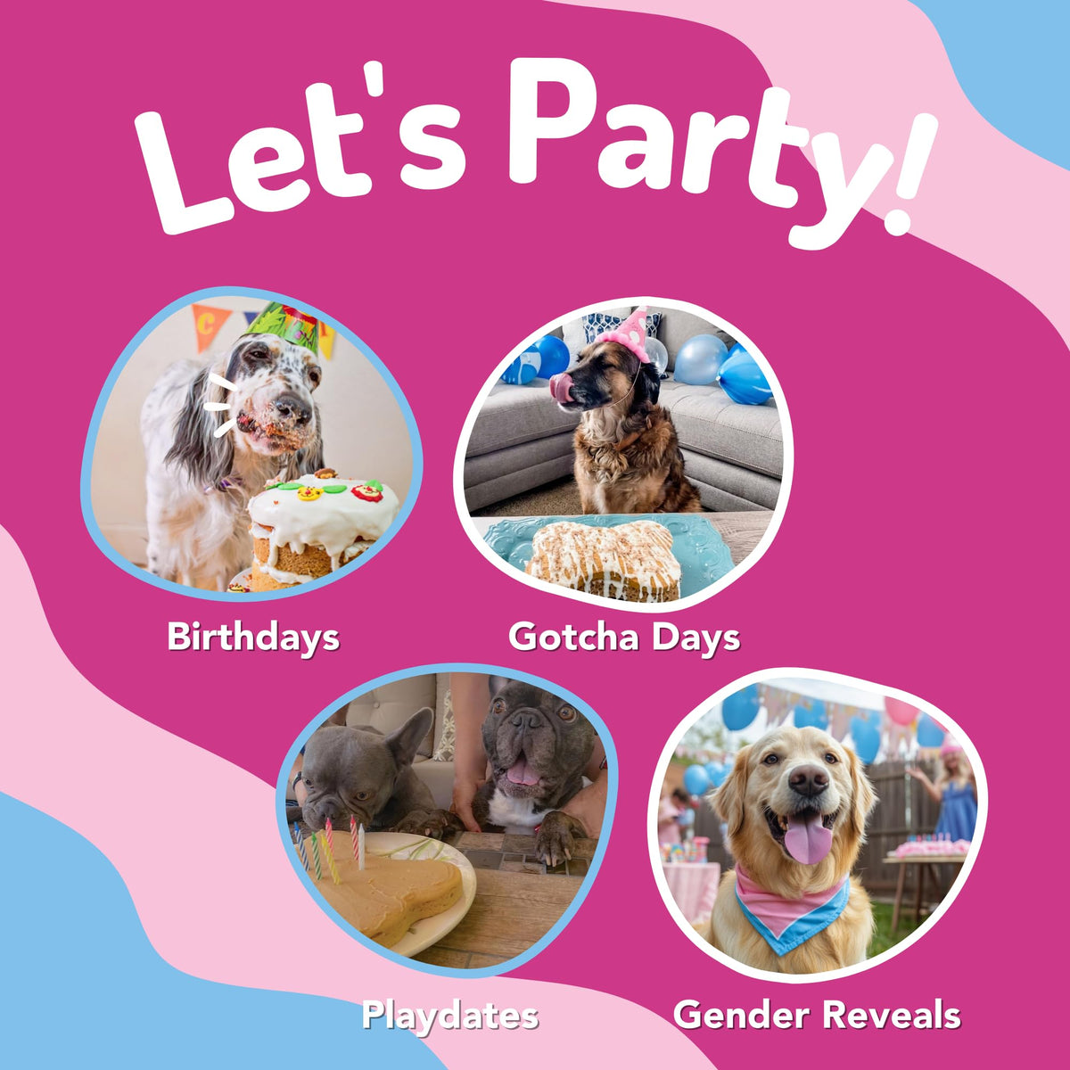 Puppy Cake Mix Dog Birthday Cake Kit in 5 Flavors, with Bone Silicone Pan and Candles (Peanut Butter) 🍁 All In One Marketplace Canada