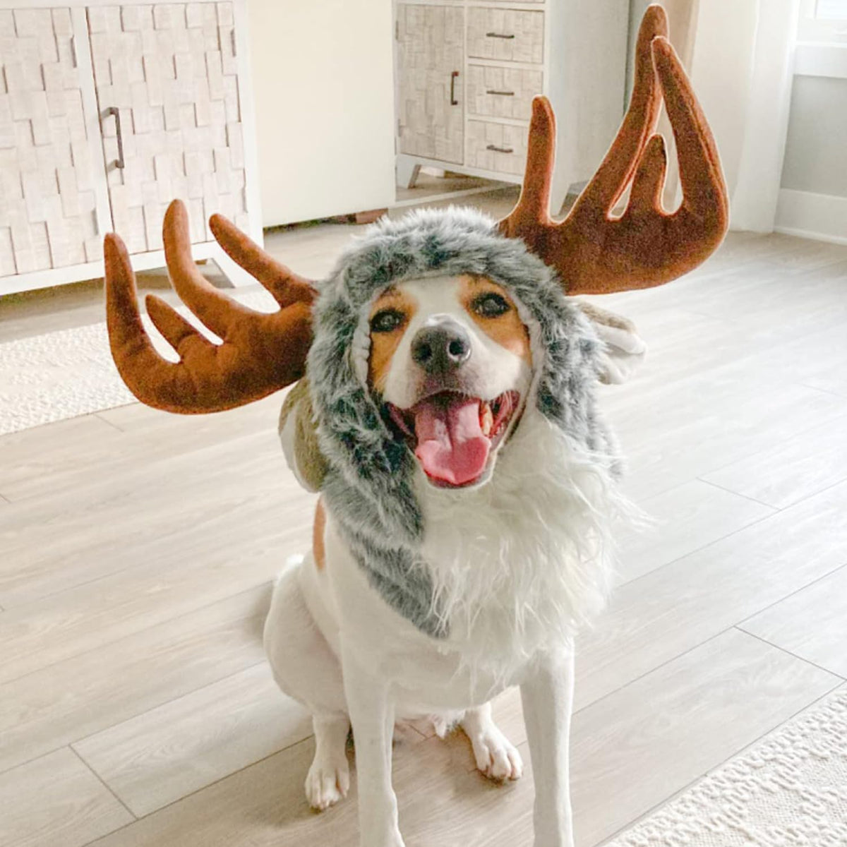 Onmygogo Funny Pet Moose Costumes for Dog, Cute Furry Pet Wig for Halloween Christmas, Pet Clothing Accessories (L, Moose) 🍁 All In One Marketplace Canada