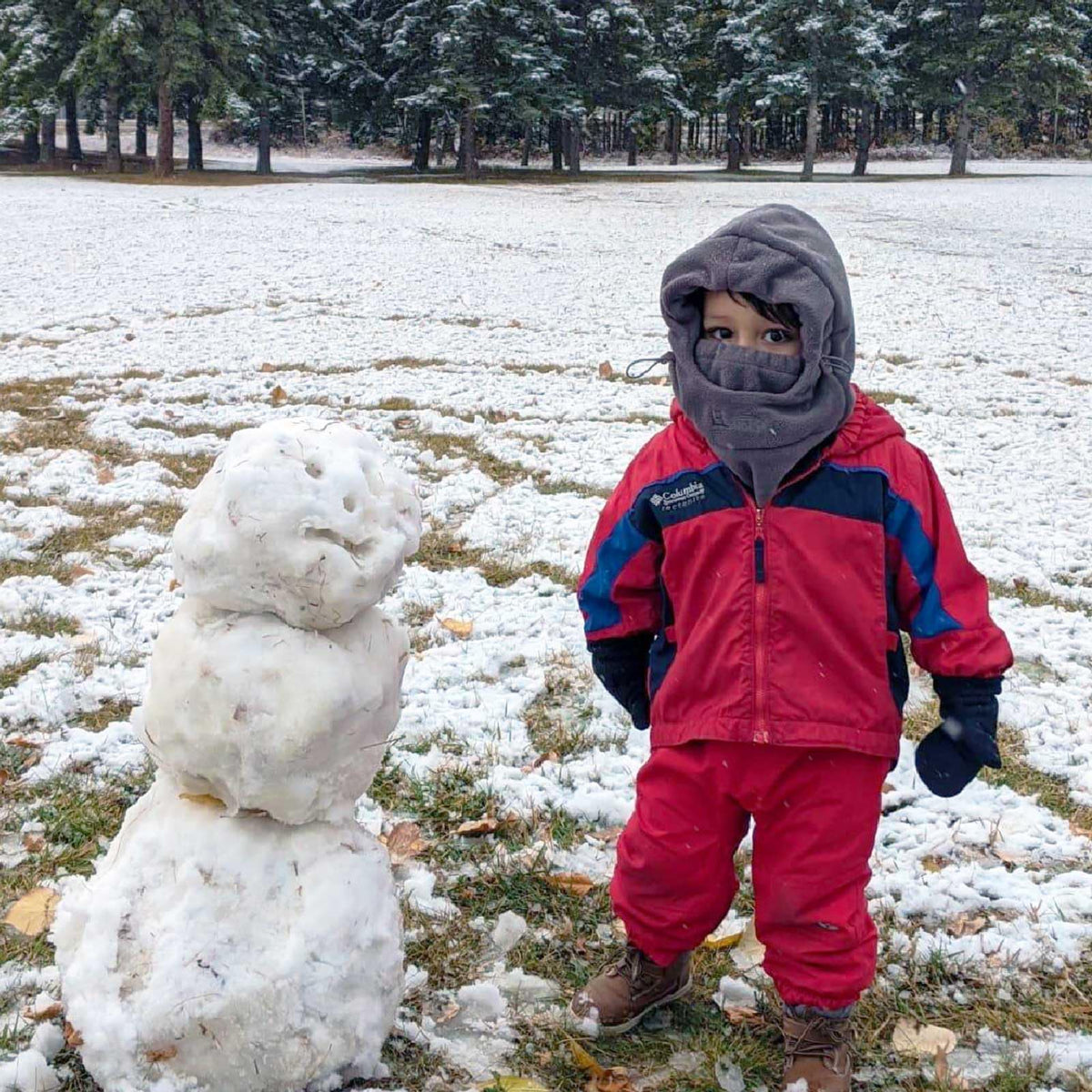 Azarxis Kids Fleece Balaclava Ski Face Scarfare Gaiter Mask Windproof Thicken Winter Hat Neck Warmer for Boys Girls (Light Purple) 🍁 All In One Marketplace Canada
