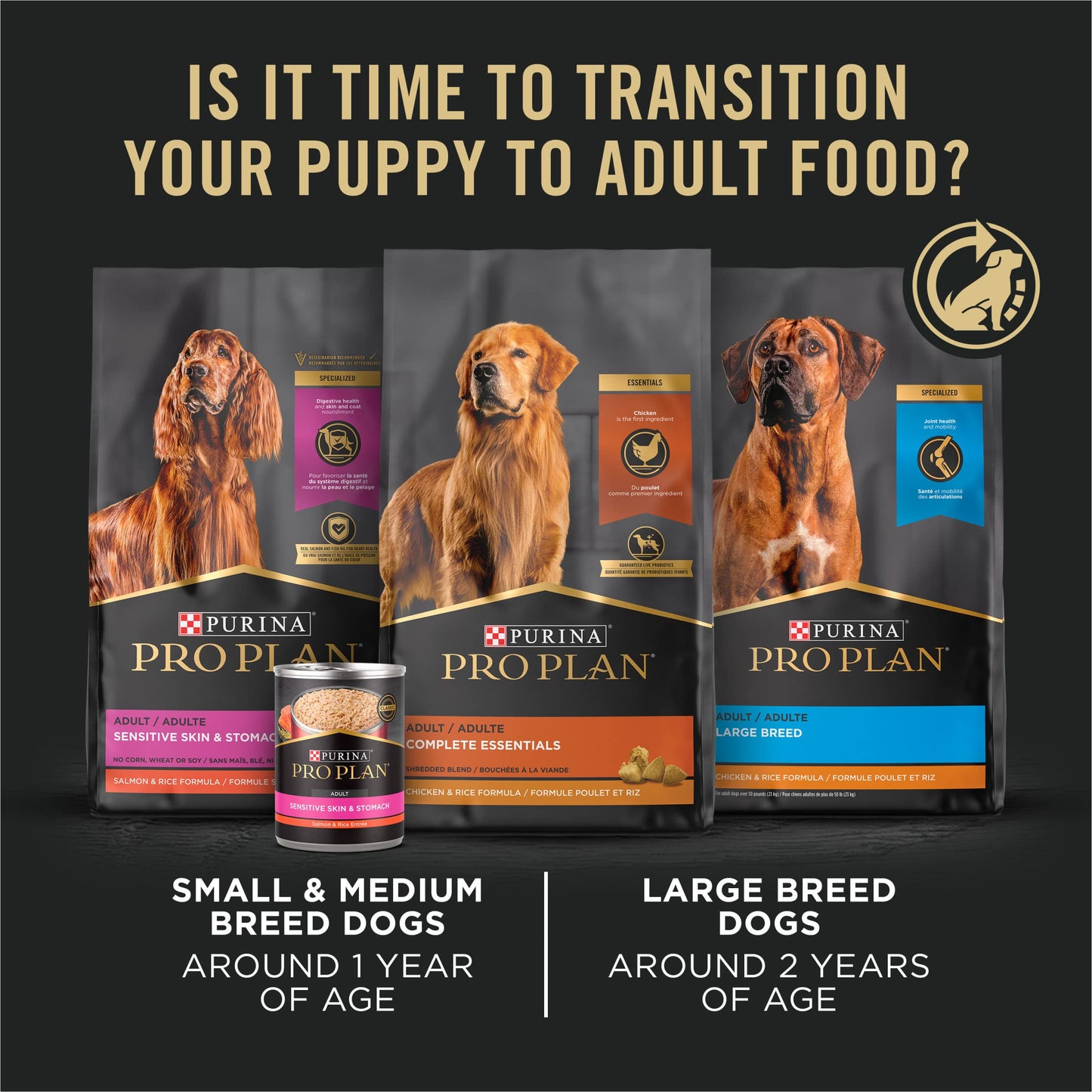Purina Pro Plan High Protein Dry Puppy Food, Chicken and Rice Formula - 6 lb. Bag Pro Plan