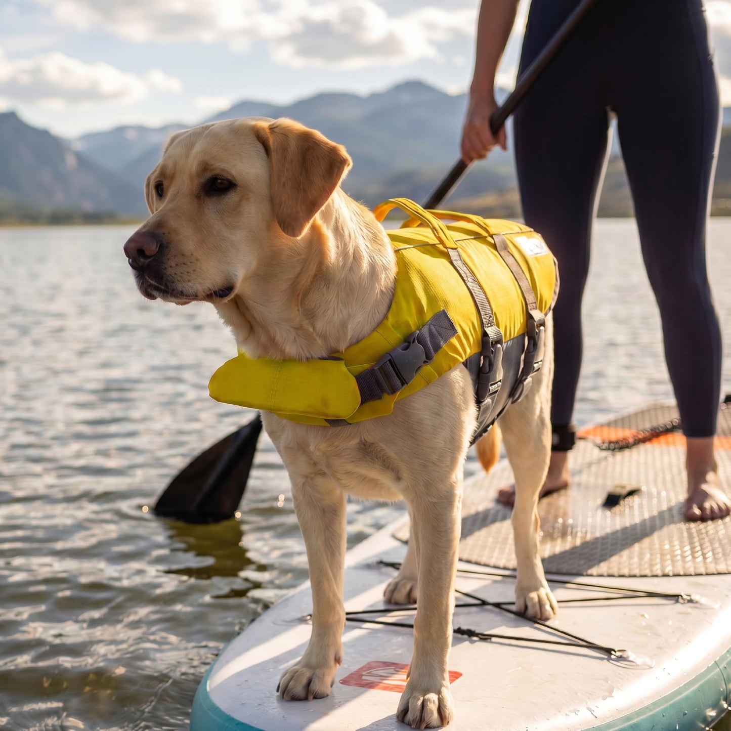 Outward Hound Granby Splash Dog Life Jacket with Handle, Reflective Floating Vest for Swimming & Boating, Maximum Buoyancy, All Skill Levels, Large Dogs (28–32" Girth), Yellow, Large