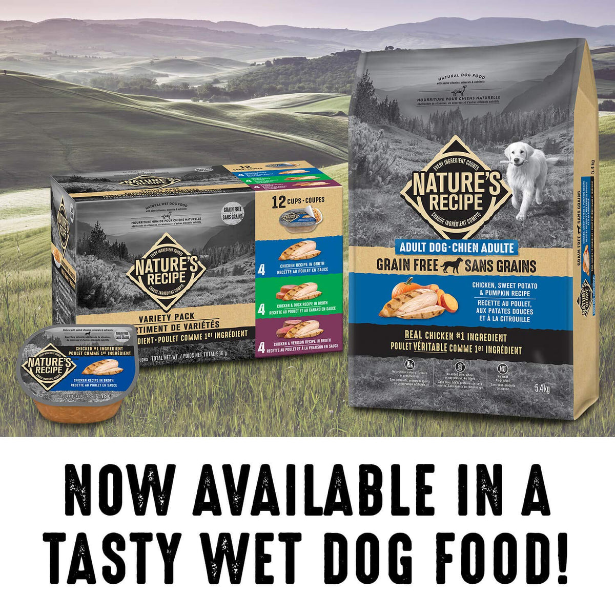 Nature's Recipe Grain Free Natural Dry Dog Food Chicken, Sweet Potato & Pumpkin Recipe 5.4 kg (Pack of 1)