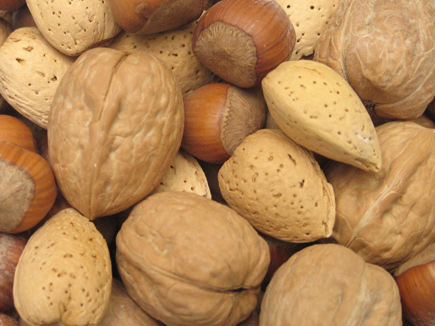 Yupik Mixed Nuts In Shell, 1kg, A Blend of Walnuts, Hazelnuts & Almonds, Raw, Vegan, Kosher, Gluten Free, Salt Free, Cholesterol Free, High in Fiber ๐ All In One Marketplace Canada