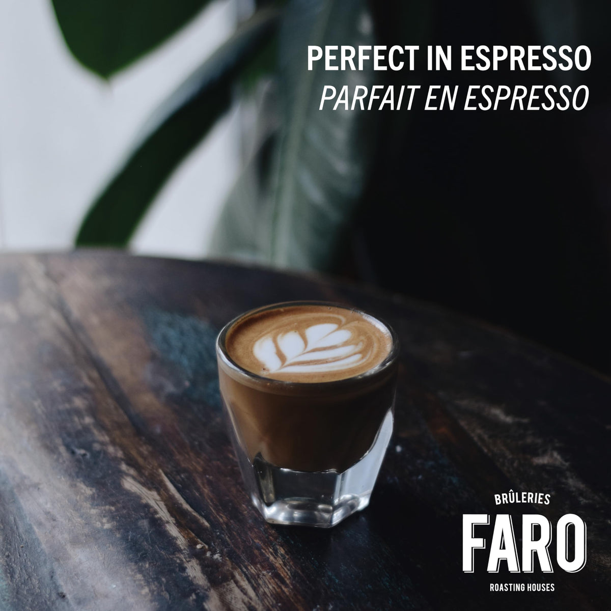 Café FARO Whole Bean Coffee - Medium Roast USDA, FairTrade, and Kosher Certified Organic Coffee Beans, Authentic Italian Espresso Beans, South and Central America Sourced Coffee Bean - 908G / 32oz