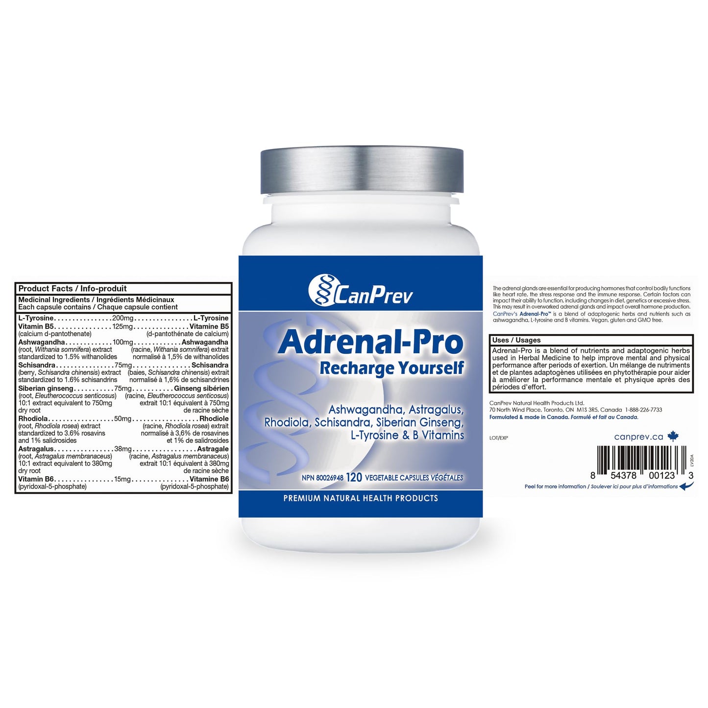 CanPrev Adrenal-Pro Recharge Yourself, 120 Vegan V-Caps with Siberian Ginseng, 30-Day Supply with Ashwagandha, Astragalus, L-Tyrosine, B5 & B6 - Supports Energy Levels, Physical and Mental Vitality - Available at All In One Marketplace Canada