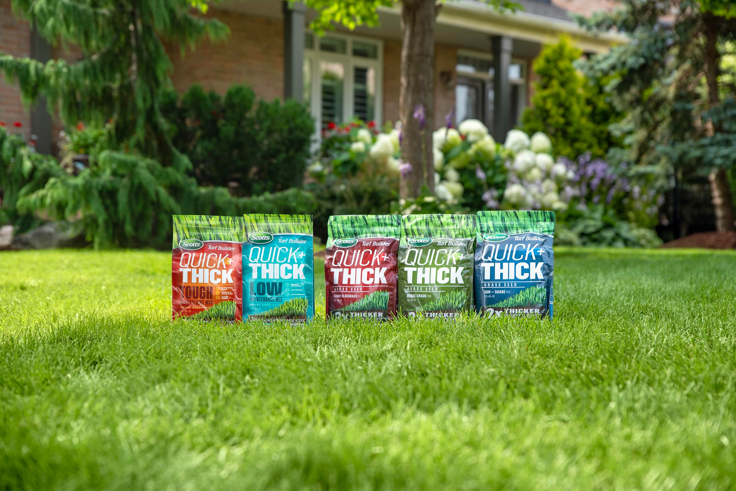 Scotts Turf Builder Quick + Thick Tough & Resilient Grass Seed Mix, 1.2kg (167 sq Meters / 1,805 sq feet Coverage) | Resilient Mix for Active Yards, Pets & Pests 🍁 All In One Marketplace Canada