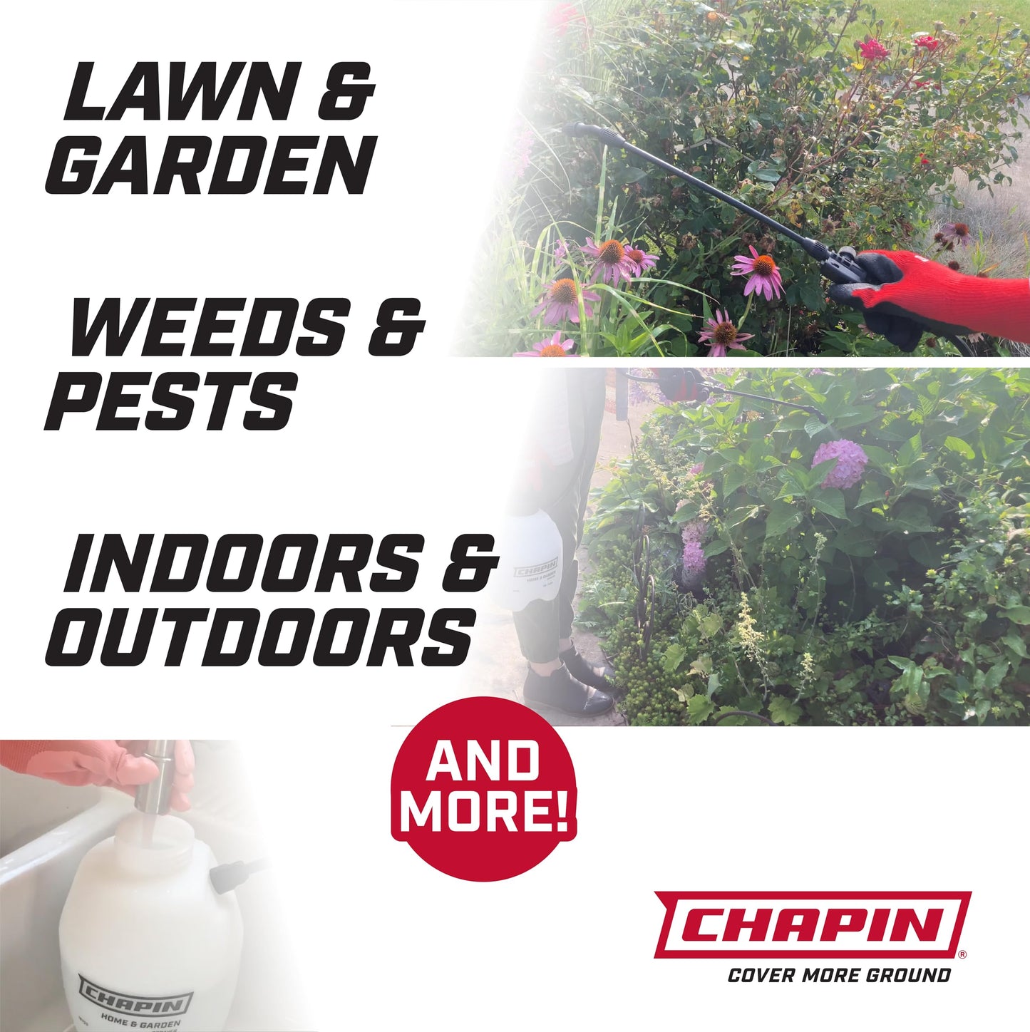 Chapin 16200 Home and Garden Poly Sprayer, 2-Gallon Chapin International