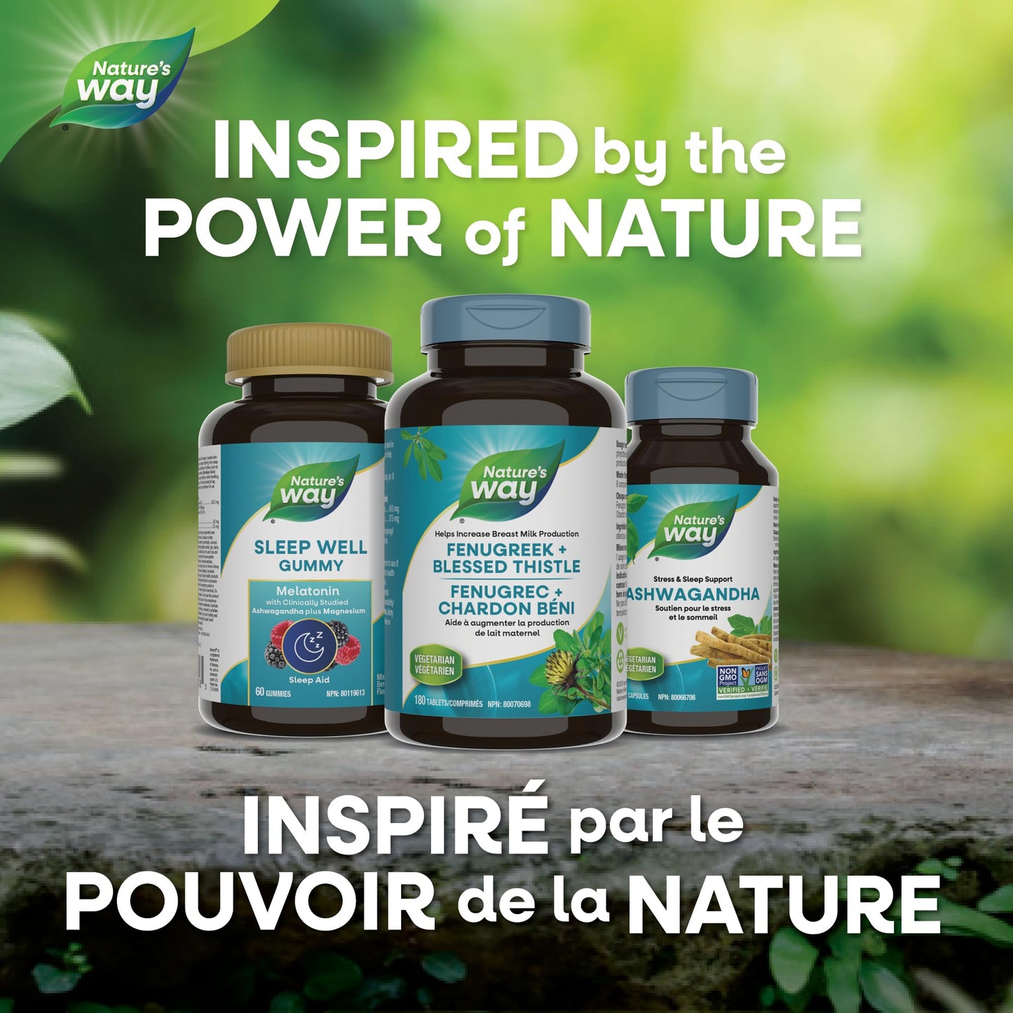 Nature's Way Fenugreek + Blessed Thistle – Herbal Supplement for Digestion & to Promote Lactation – 450mg Fenugreek & 375mg Blessed Thistle for Breastfeeding Support – 180 Vegetarian Tablets - Available at All In One Marketplace Canada