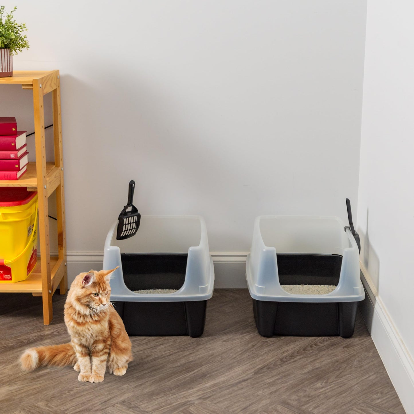 IRIS USA Large Cat Litter Boxes, Open Top High Sided Pan w/Scoop, Black π All In One Marketplace Canada