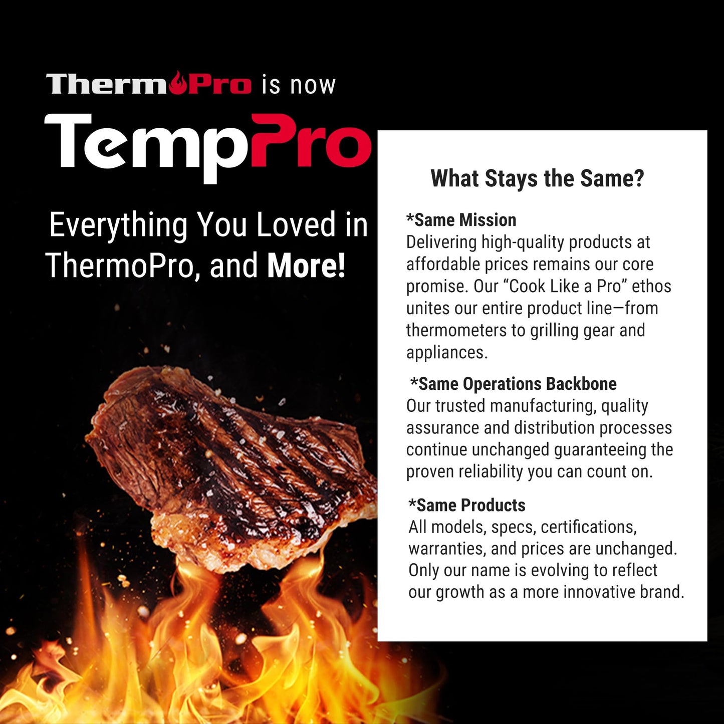 TempPro Digital Meat Thermometer for Cooking and Grilling, BBQ Food Thermometer with Backlight and Kitchen Timer, Grill Temperature Probe Thermometer for Smoker, Oven, Baking,Oil(Previously ThermoPro) - Available at All In One Marketplace Canada
