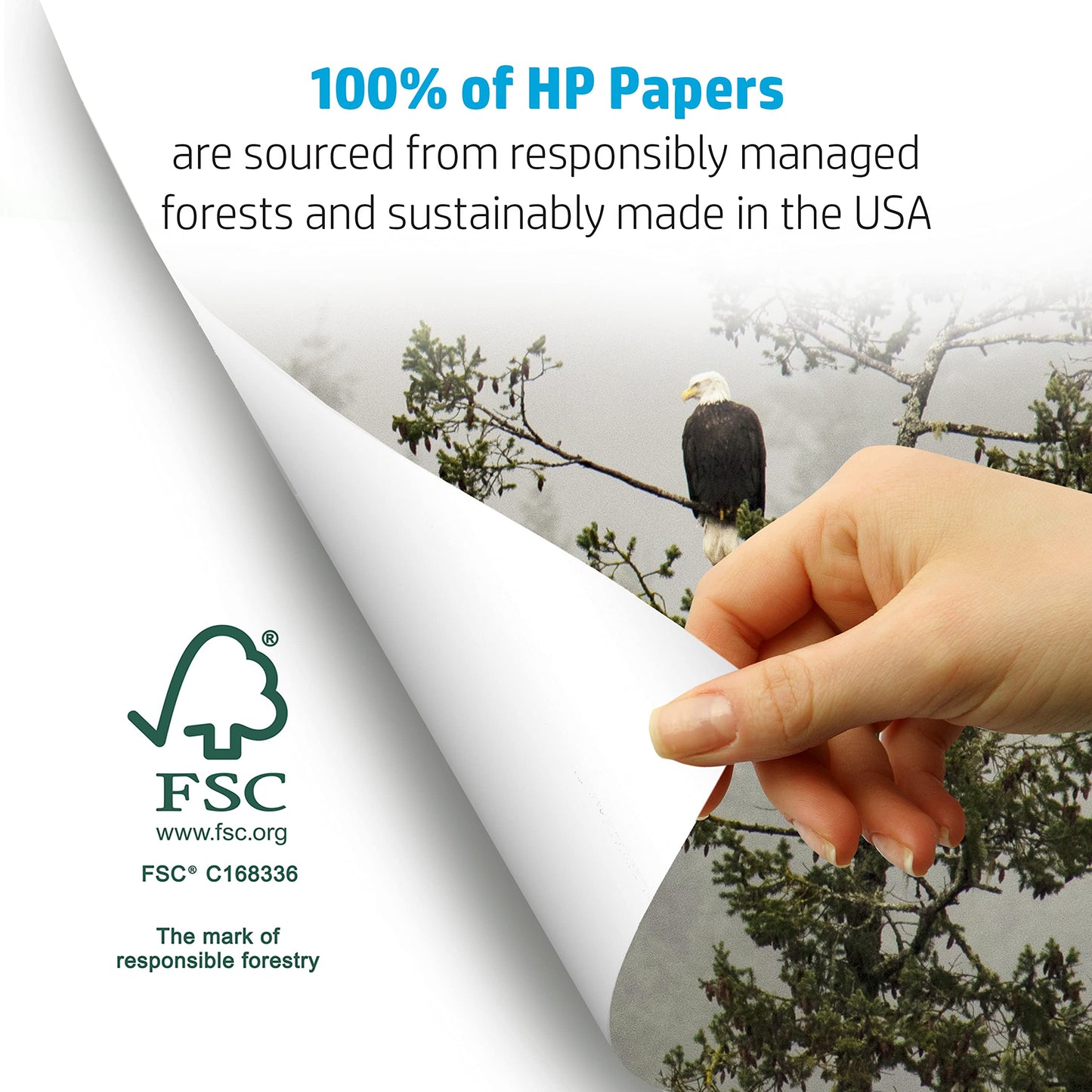 HP Printer Paper 8.5x11 Office 20 lb 5 Ream Case 2500 Sheets 92 Bright Made in USA FSC Certified Copy Paper HP Compatible 112150C 🍁 All In One Marketplace Canada