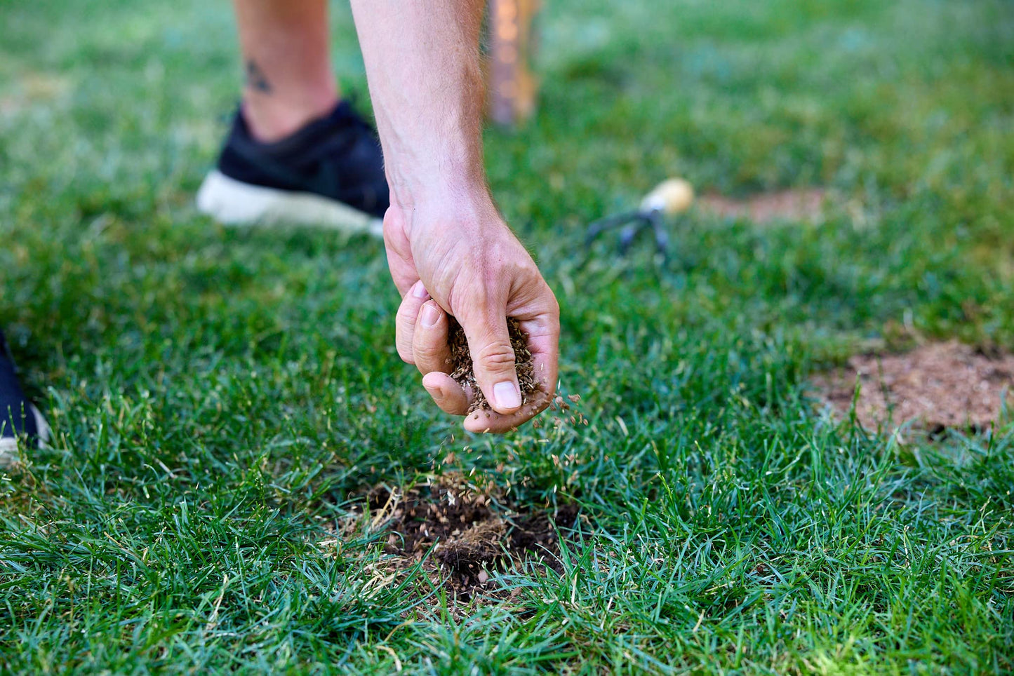 Scotts Ez Seed Patch & Repair 1-0-0, 4.54kg | Multipurpose Formula for Patch and Repair. Grows Anywhere - Available at All In One Marketplace Canada