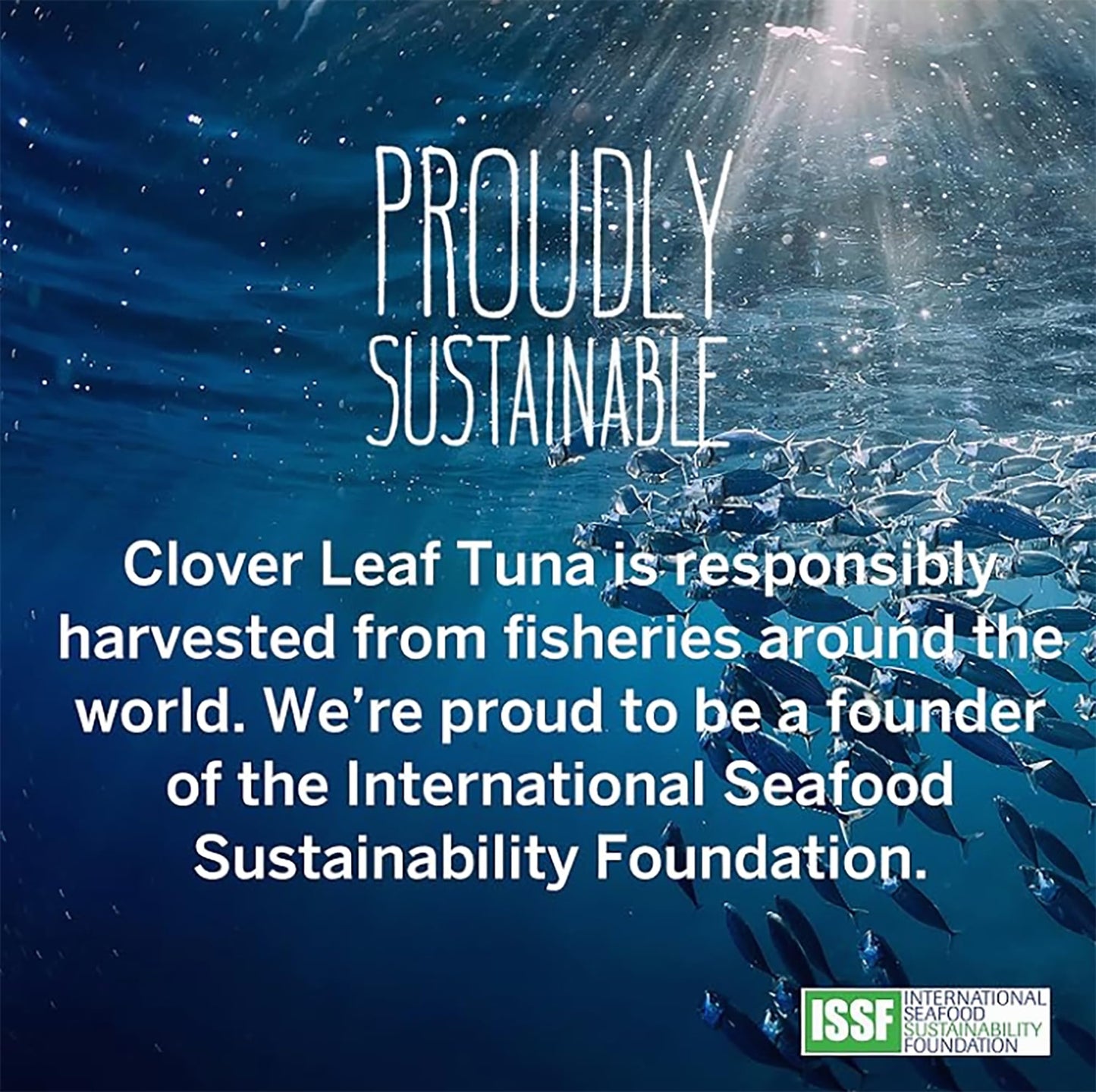 Clover Leaf Tomato & Onion Flavoured Tuna, 85g, 24 Count π All In One Marketplace Canada