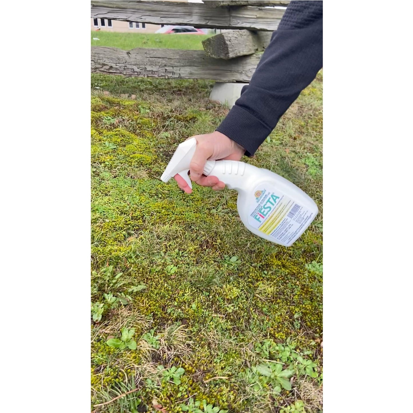 Neudorff Fiesta Lawn Weed Killer Double Strength RTU, See Results in Hours & Can Reseed Lawn 1 Day After Treatment, People & Pets Can Enter Treated Area When Spray Dries, Made with Iron (946 ML)