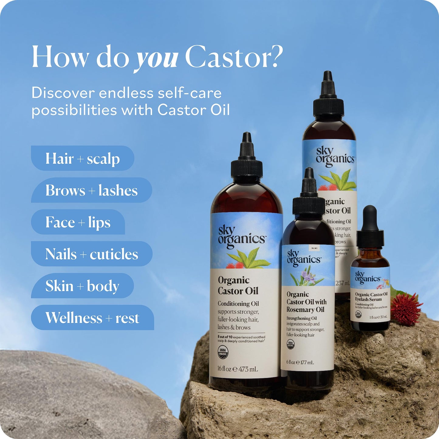 Sky Organics USDA Organic Castor Oil and Rosemary Oil, Strengthening Hair Oil Blend, Pure & Potent, Hexane-Free, Invigorates Scalp, Supports Fuller-Looking Hair, 6 fl oz - Available at All In One Marketplace Canada