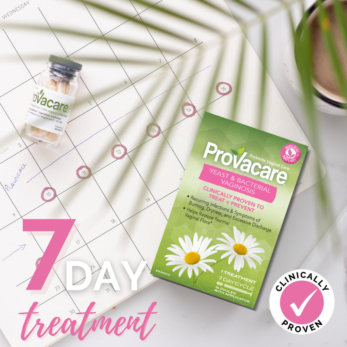 Provacare Probiotic Vaginal Care, Naturally Treats and Prevents Vaginal Yeast and Bacterial Infection for Women, 7-Day Treatment, 14-Count