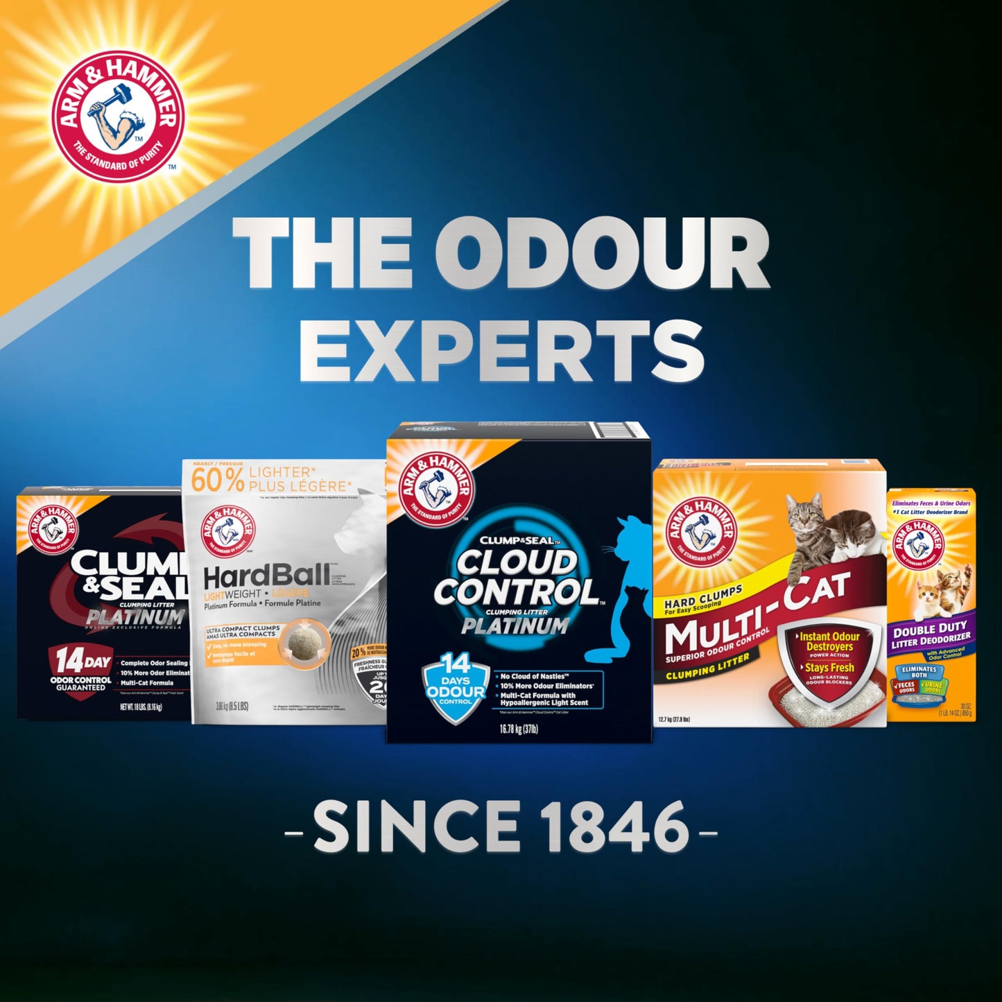 ARM & HAMMER Platinum Cat Litter Cloud Control, Extra Strength with 14 Days of Odour Control, Multi-Cat Clumping Cat Litter with Hypoallergenic Light Scent, Value Size 16.78kg (Pack of 1)