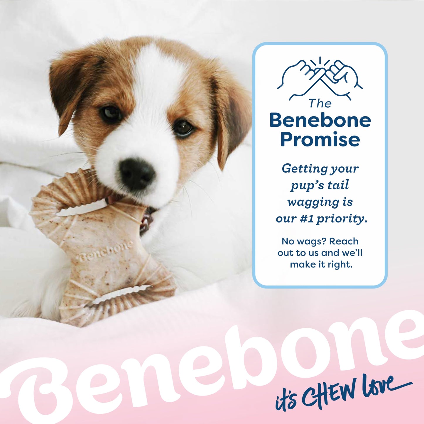 Benebone Puppy 2-Pack Dental Chew/Wishbone Dog Chew Toys, Real Bacon π All In One Marketplace Canada