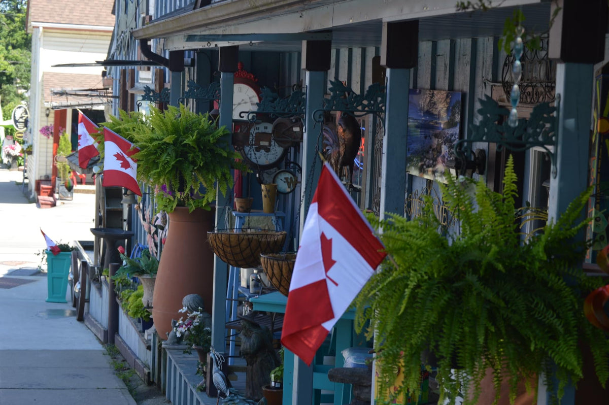 27x54 In Canada Flag 210D Nylon Heavy Duty Canadian Flags Outdoor Indoor 🍁 All In One Marketplace Canada
