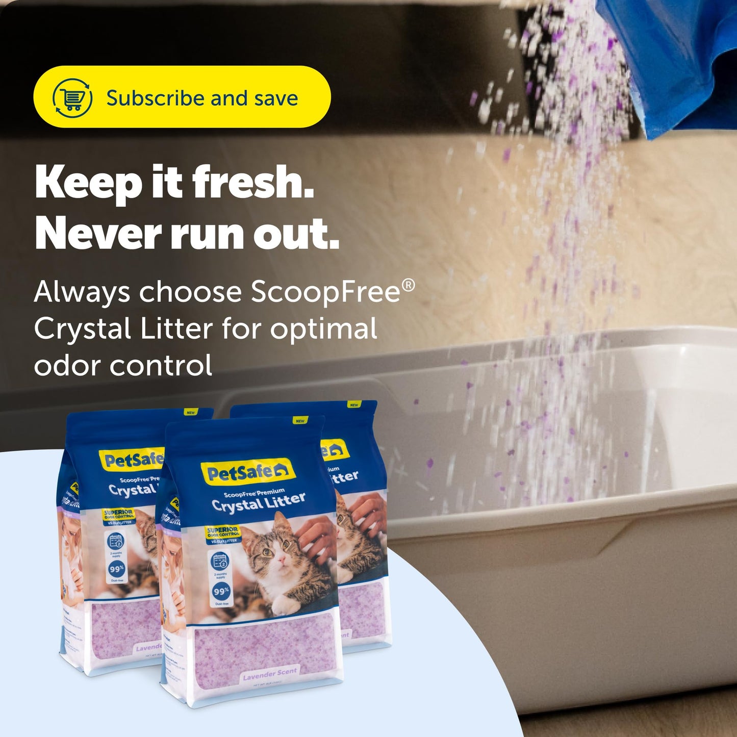 PetSafe ScoopFree Premium Lavender Crystal Cat Litter, 3-Pack – Lightly Scented Litter – Superior Odor Control – Low Tracking for Less Mess – Lasts Up to 6 Months, 24 lb Total (3 Pack of 8 lb Bags)