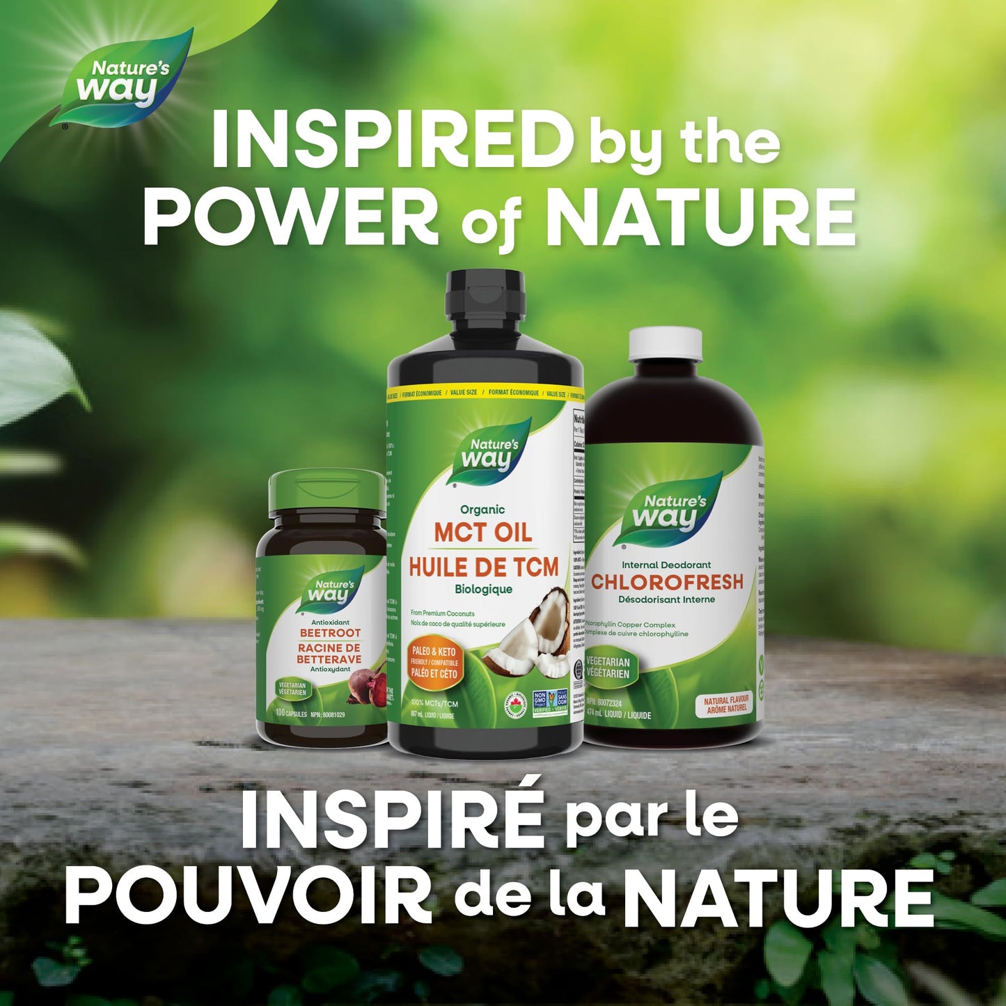 Nature's Way 100% Pure MCT Oil From Coconut – 14g MCT Per Serving – Paleo and Keto friendly – Certified Organic – Non-GMO Project Verified – Vegetarian, Gluten-free, & Flavourless – 887 mL, Value Size Nature's Way