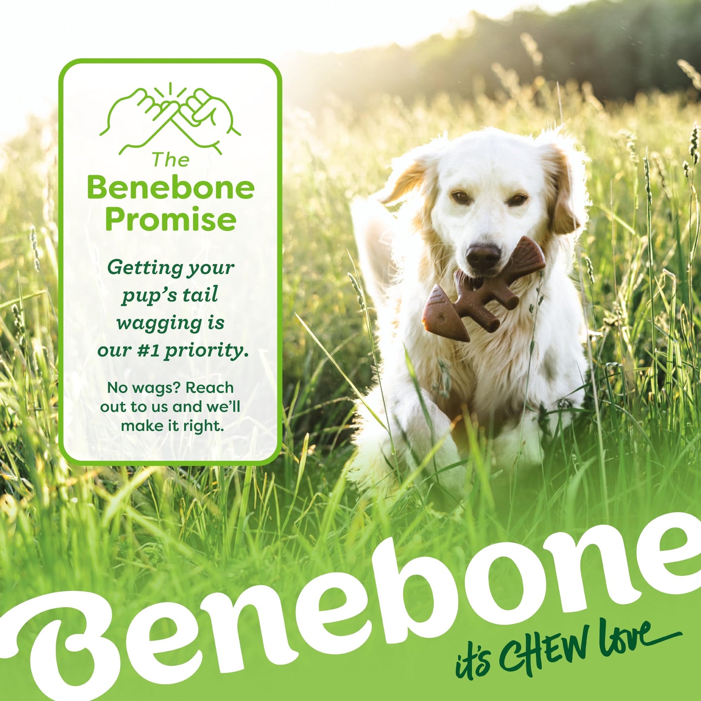 Benebone Small 4-Pack Dog Toys for Aggressive Chewers – Under 30 lbs