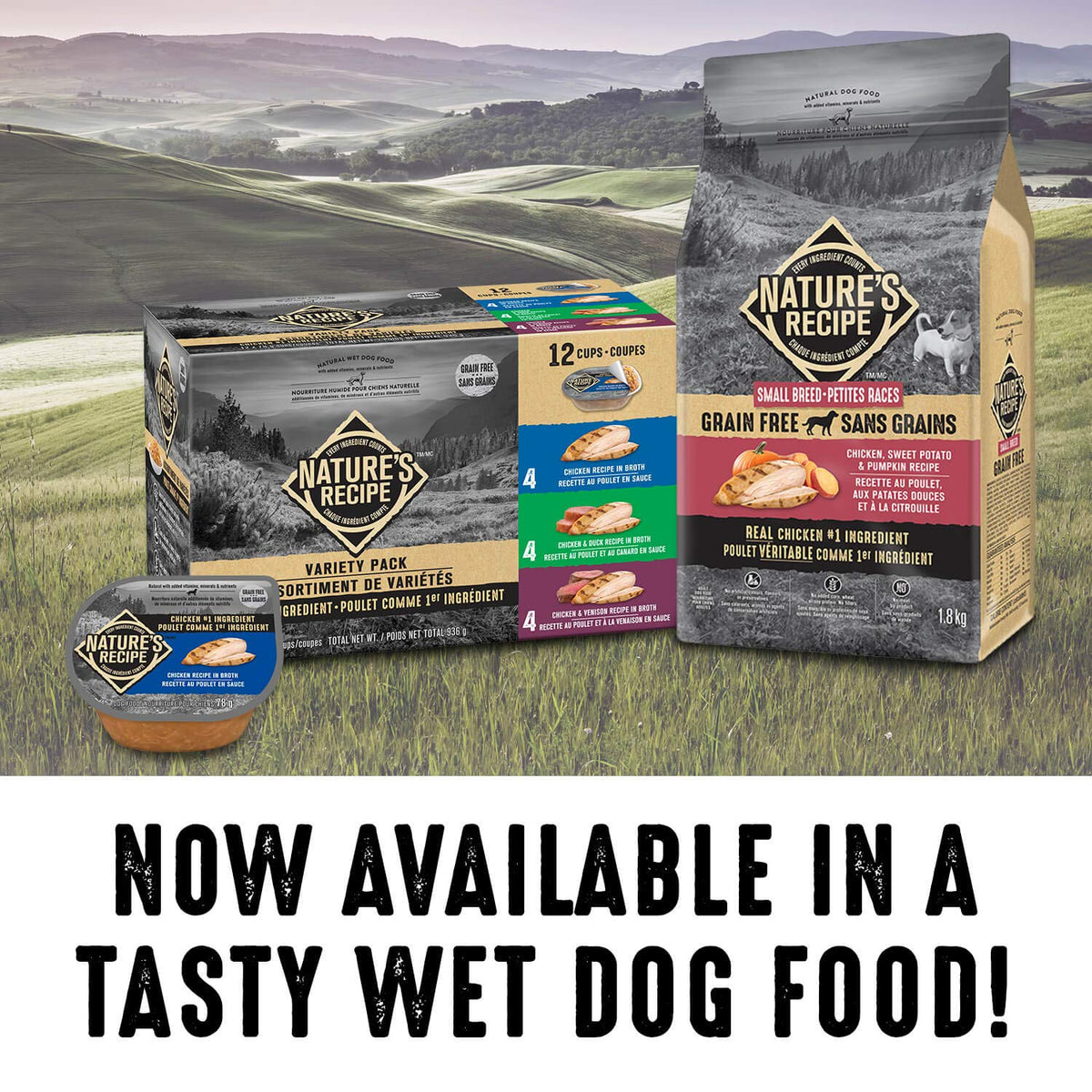 Nature's Recipe Small Breed Grain Free Natural Dry Dog Food Chicken, Sweet Potato & Pumpkin Recipe 5.4 kg (Pack of 1)