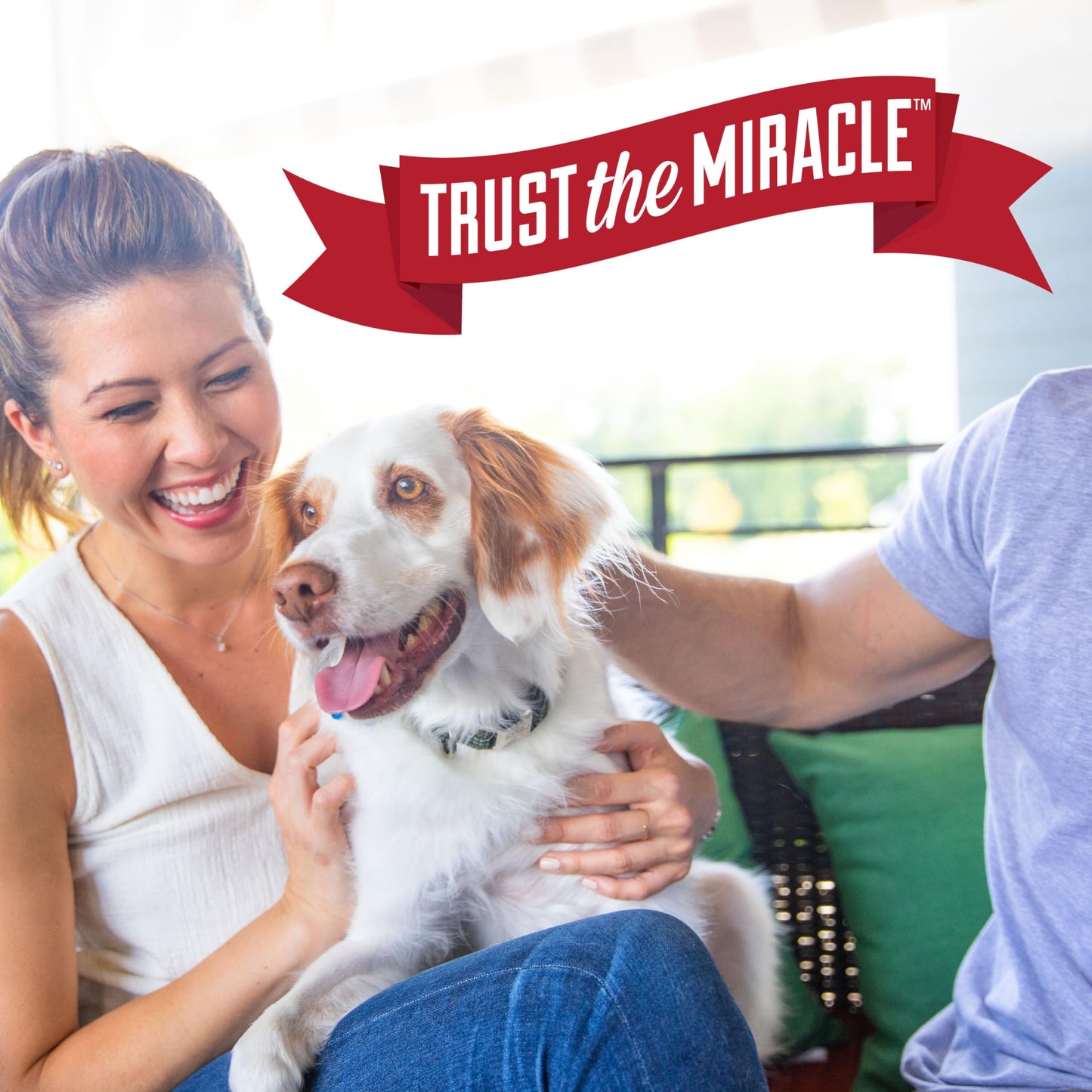 Nature’s Miracle Urine Destroyer Plus Dog, 32 Ounces, Enzymatic Formula, Ready-to-Use 🍁 All In One Marketplace Canada