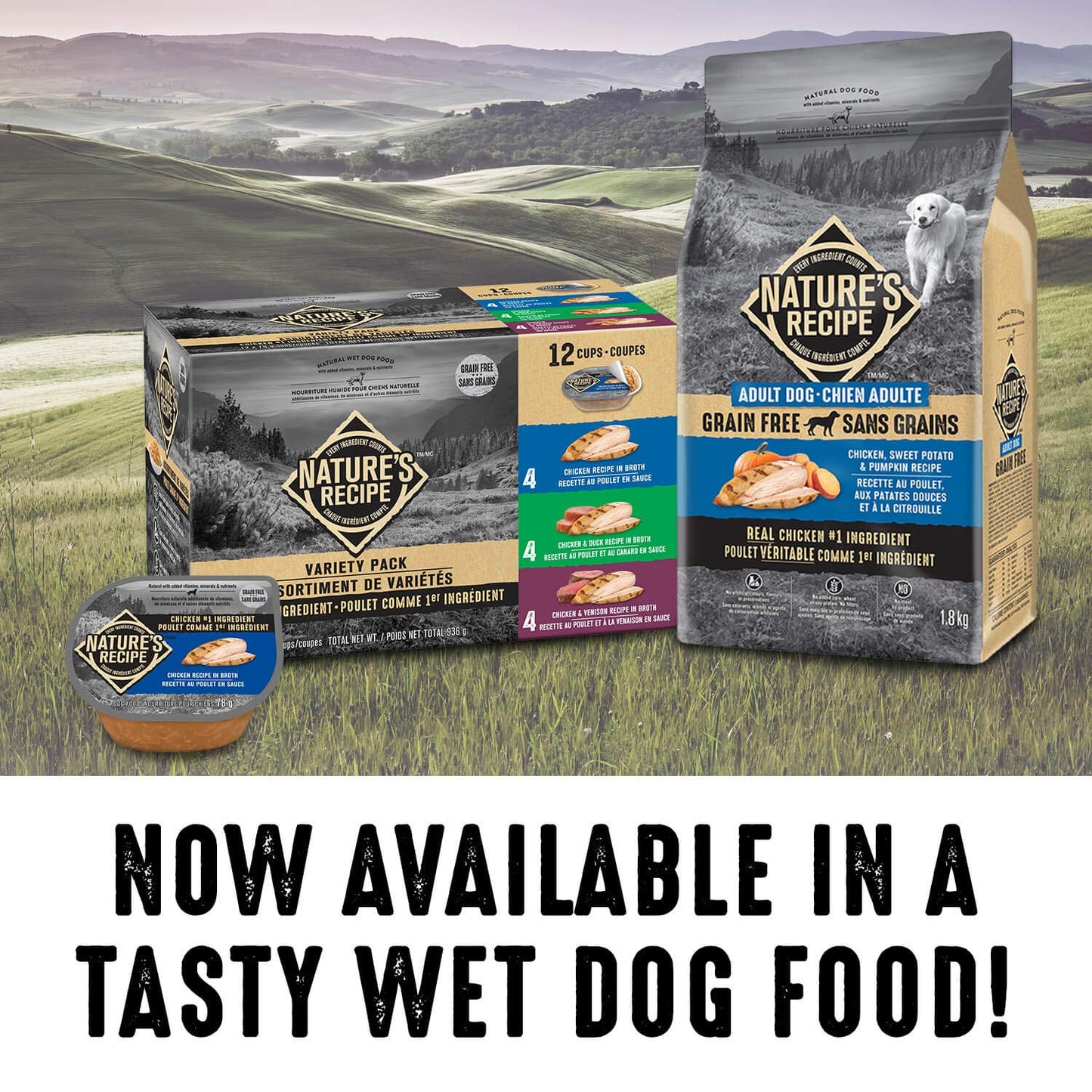 Nature's Recipe Grain Free Natural Dry Dog Food Chicken, Sweet Potato & Pumpkin Recipe 10.8 kg (Pack of 1) Nature's Recipe