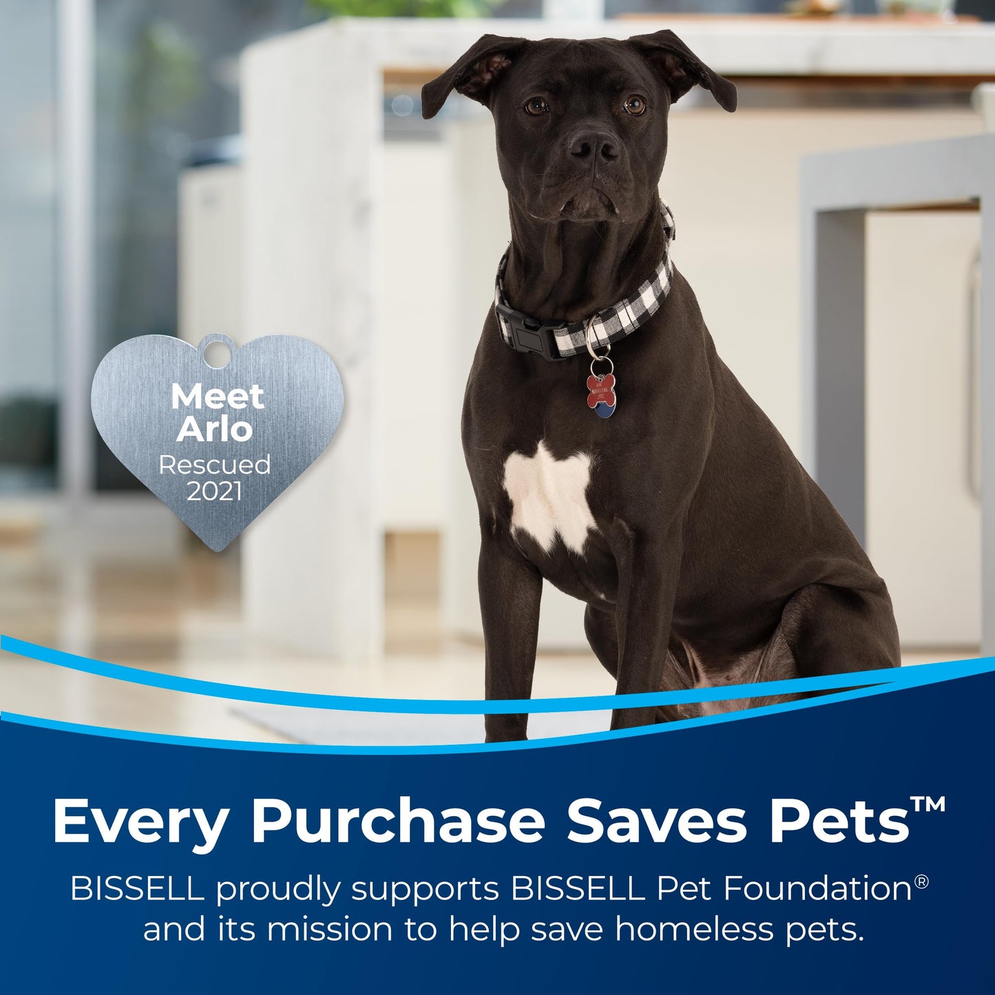 BISSELL Professional Pet Spot and Stain Plus OXY Formula for Portable Carpet Cleaners, 32oz, Removes Pet Urine Vomit and Odours, Car Detailer Solution, Little Green and SpotClean Compatible, 2034C