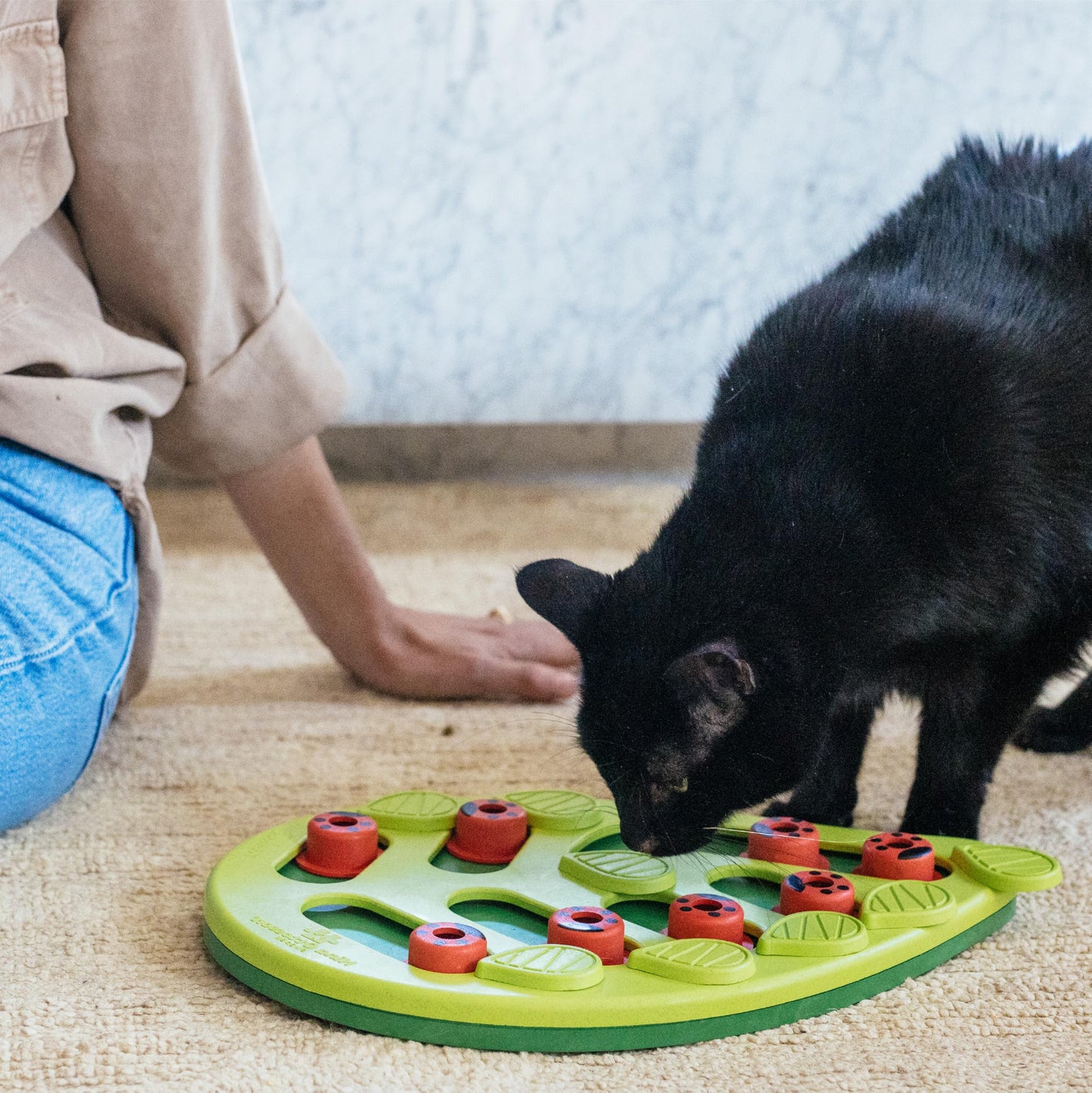 Catstages Buggin' Out Puzzle & Play, Interactive Treat Puzzle Cat Toy, Green - Available at All In One Marketplace Canada