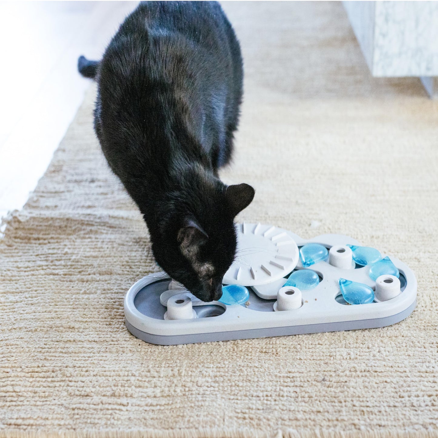 Catstages by Nina Ottosson Rainy Day Puzzle & Play Cat Puzzle Feeder β Interactive Treat Game for Indoor Cats, Level 3 Slow Feeder Enrichment Toy, 13.8" x 14" π All In One Marketplace Canada