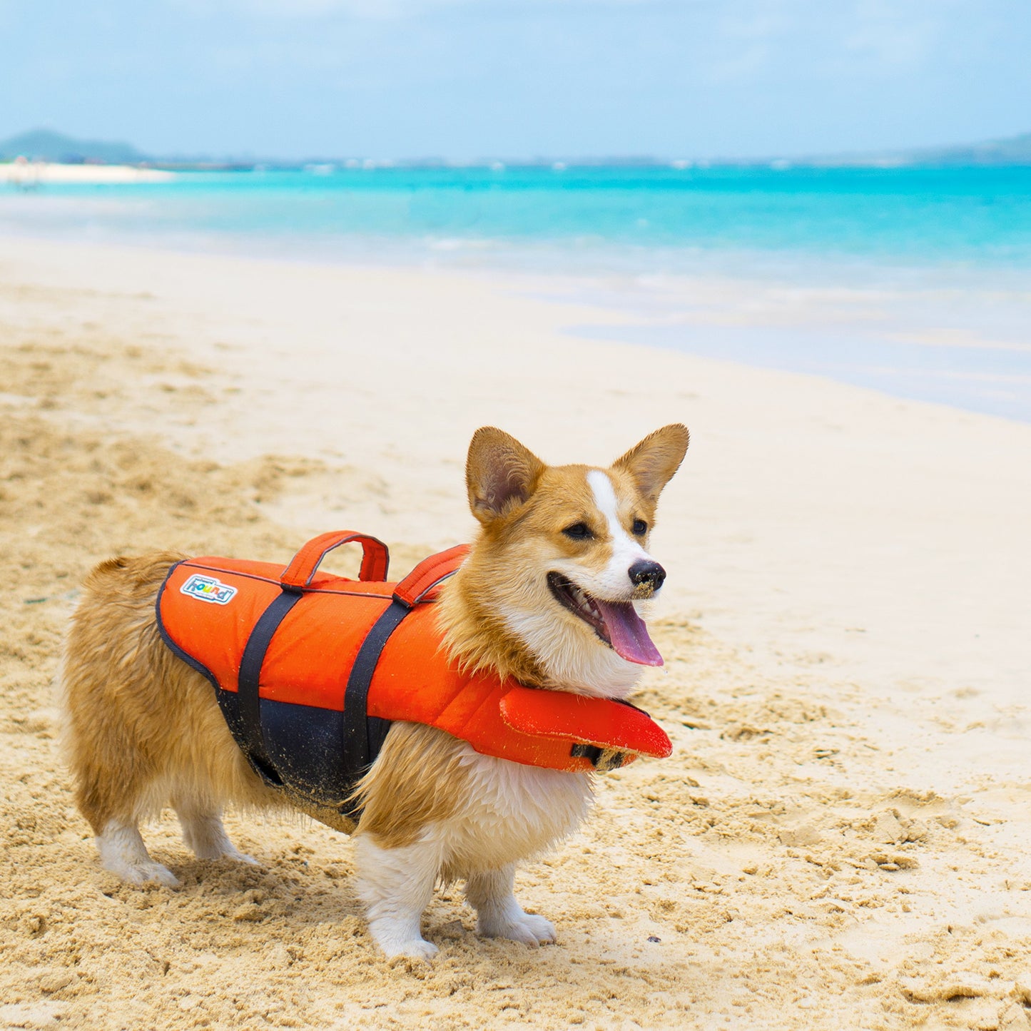 Outward Hound Granby Splash Dog Life Jacket with Handle, Reflective Floating Vest for Swimming & Boating, Maximum Buoyancy, All Skill Levels, Extra-Small Dogs & Puppies (11–15" Girth), Orange, X-Small