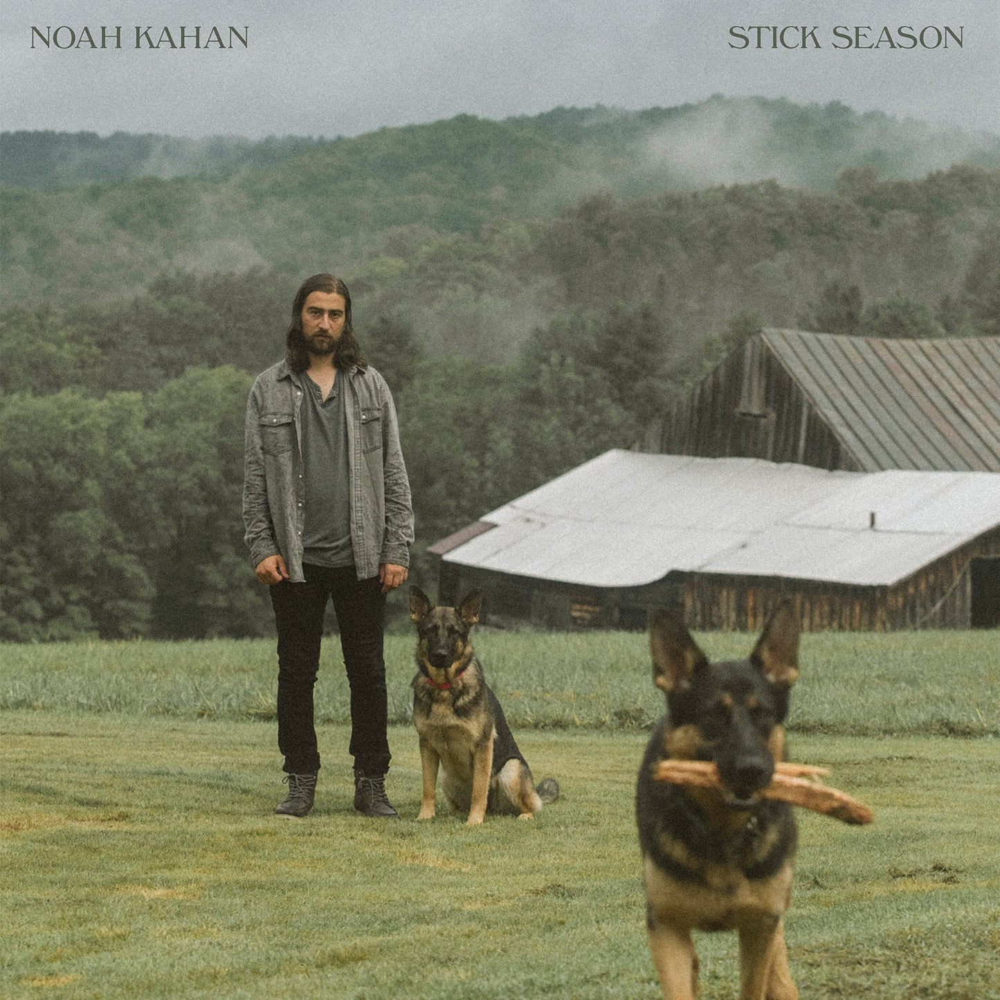 Stick Season (Vinyle)